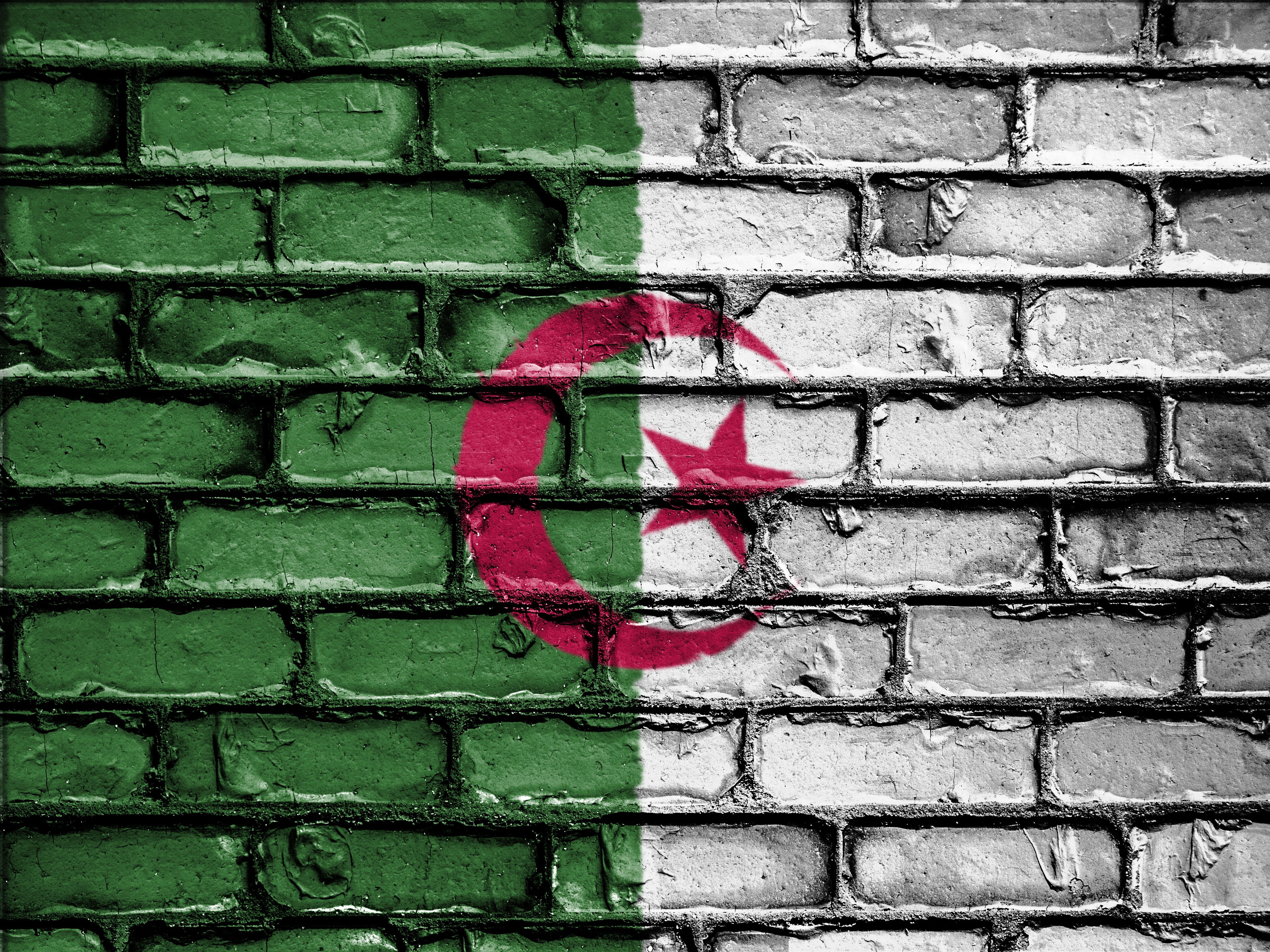 patriot, bricks, backgrounds, emblem, patriotic, day, built structure, wall - building feature, algeria, textured, patriotism, wall, national, banner, creativity, HD Wallpaper