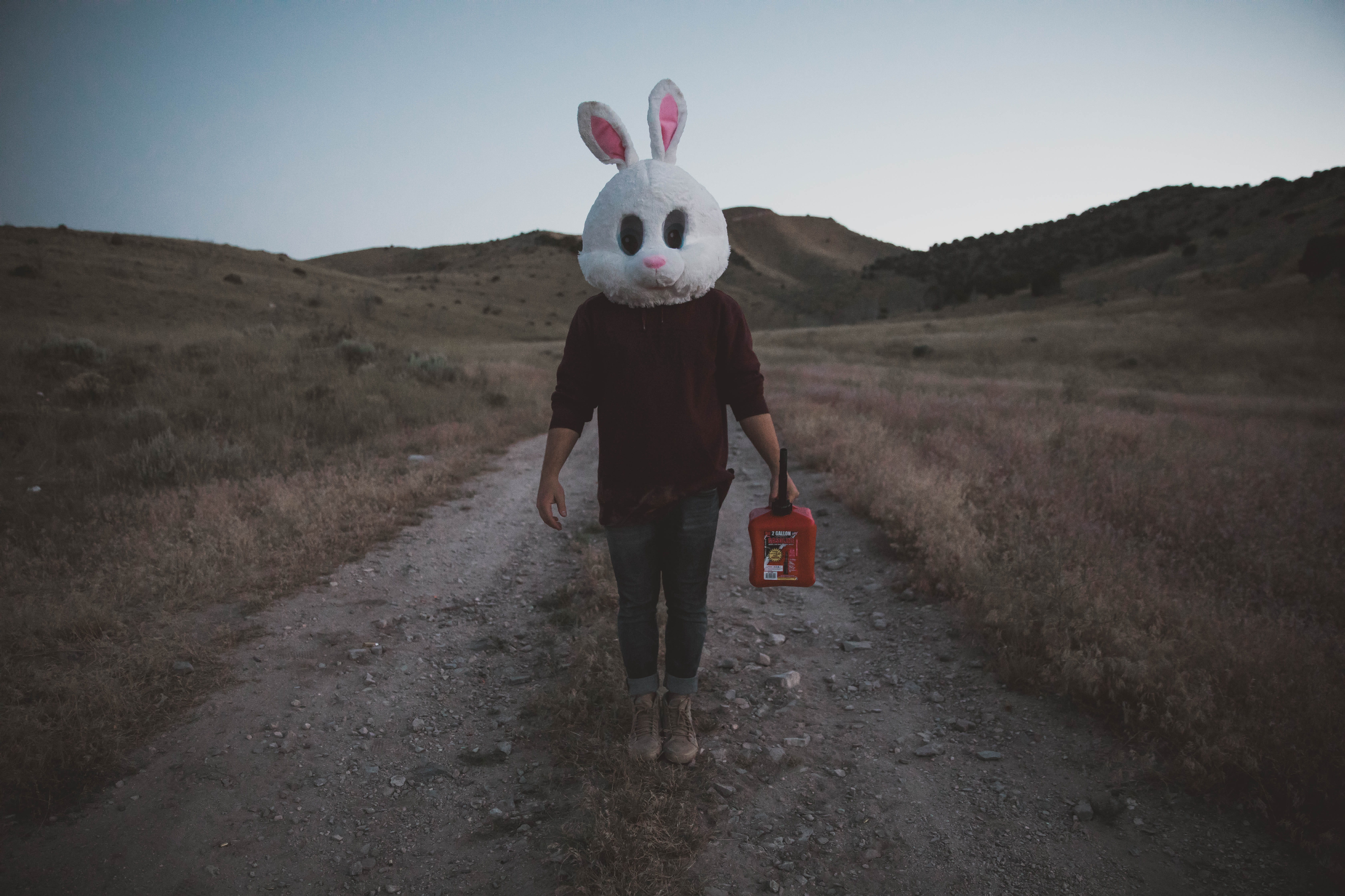 standing, leisure activity, holding, real people, wearing, head, field, full length, front view, landscape, environment, bunny, mammal, non-urban scene, HD Wallpaper