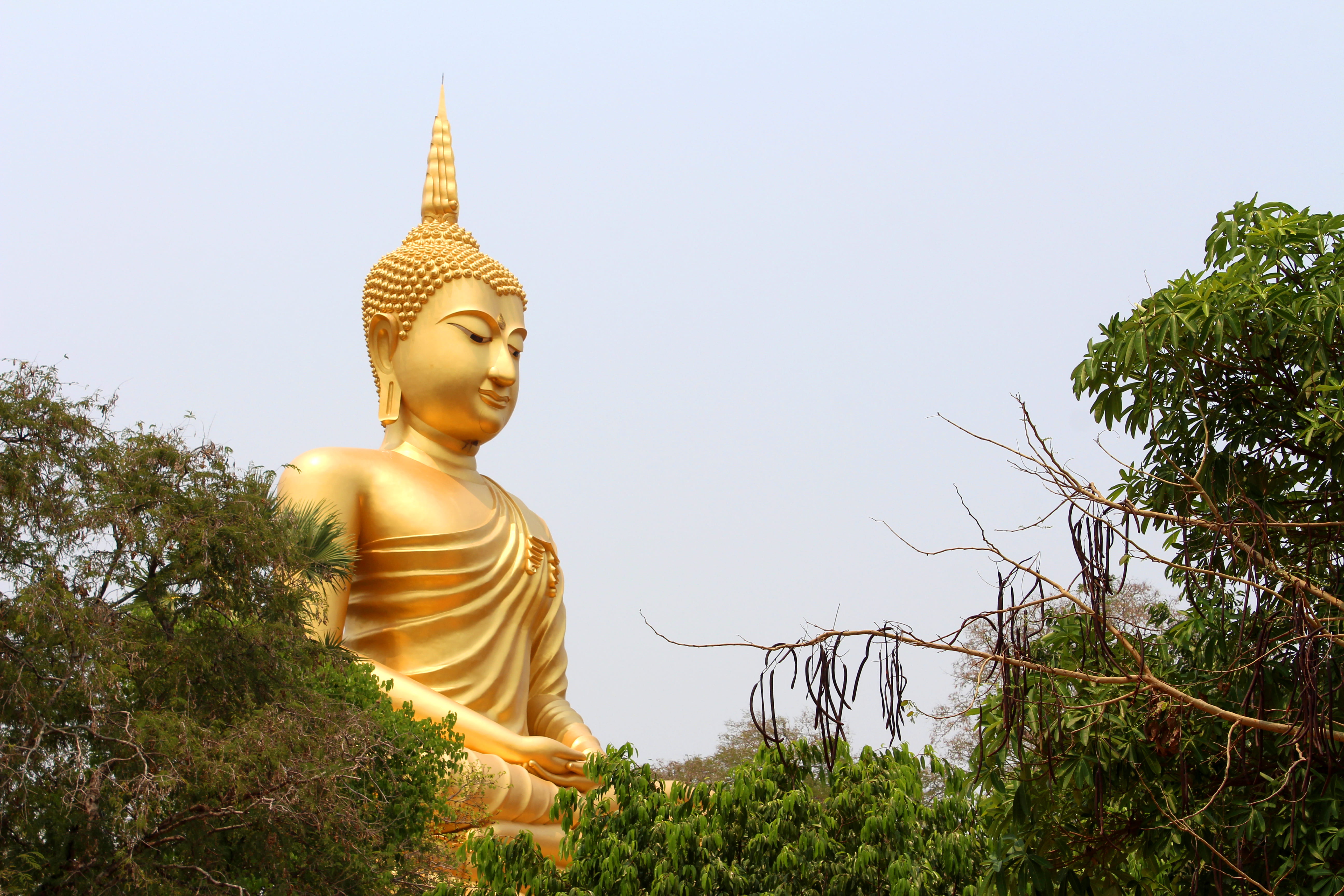 Asian, asia, representation, sculpture, sky, art and craft, faith, big, architecture, trees, no people, idol, landmark, gold, ancient, spirituality, male likeness, HD Wallpaper