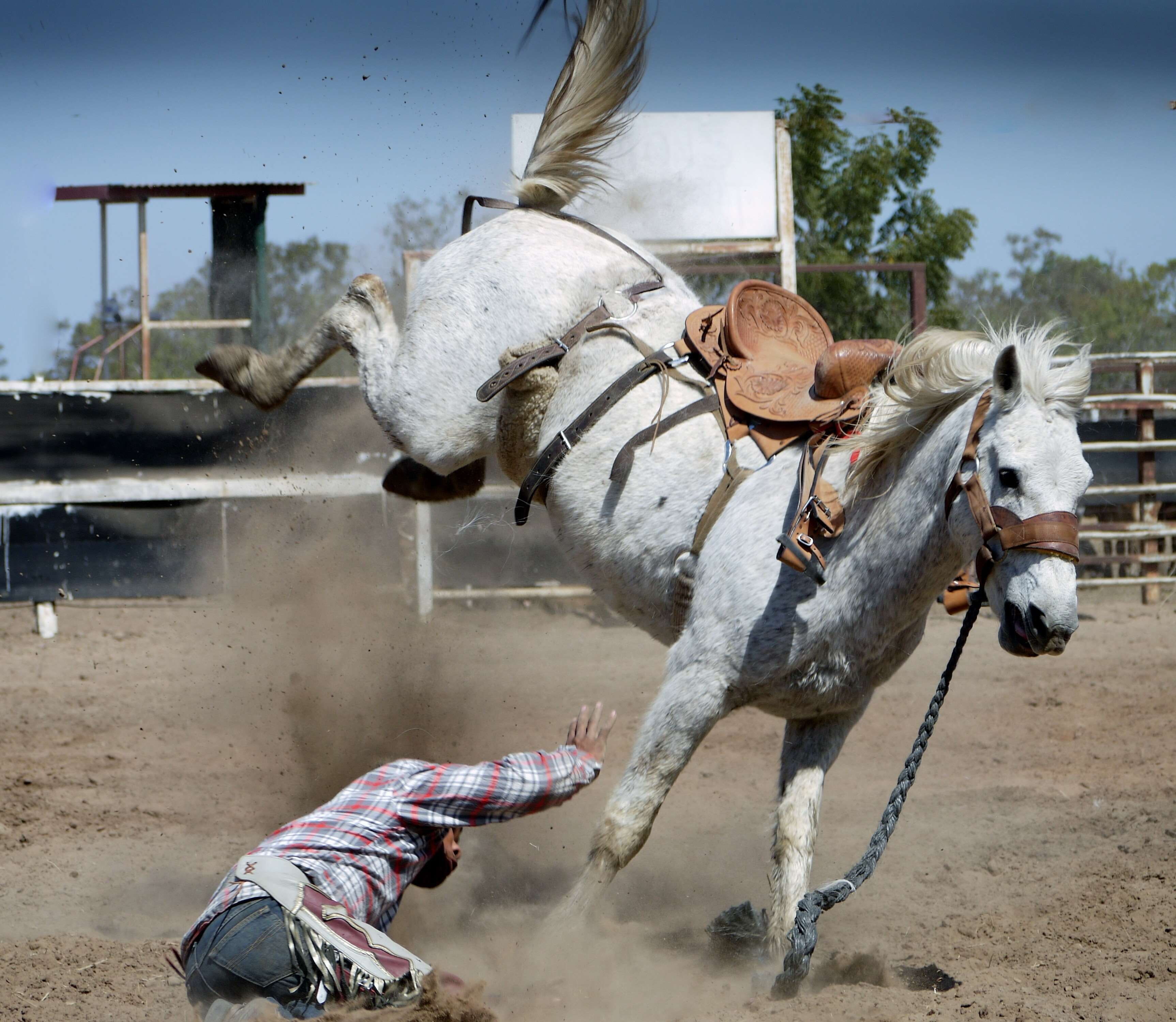 sport, fall, person, domestic animals, injured, nature, wild, equine, herbivorous, pets, action, rider, horse riding, accident, outdoors, 2K, day, mammal, HD Wallpaper