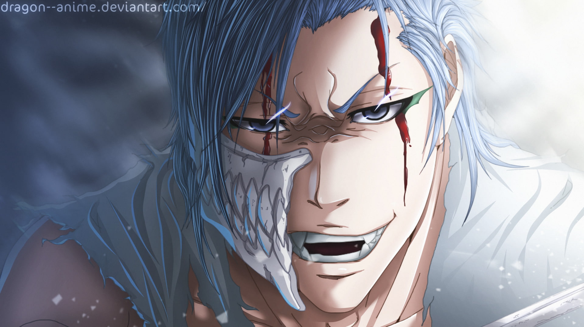 Bleach, Grimmjow Jaegerjaquez, 1080P, HD Wallpaper