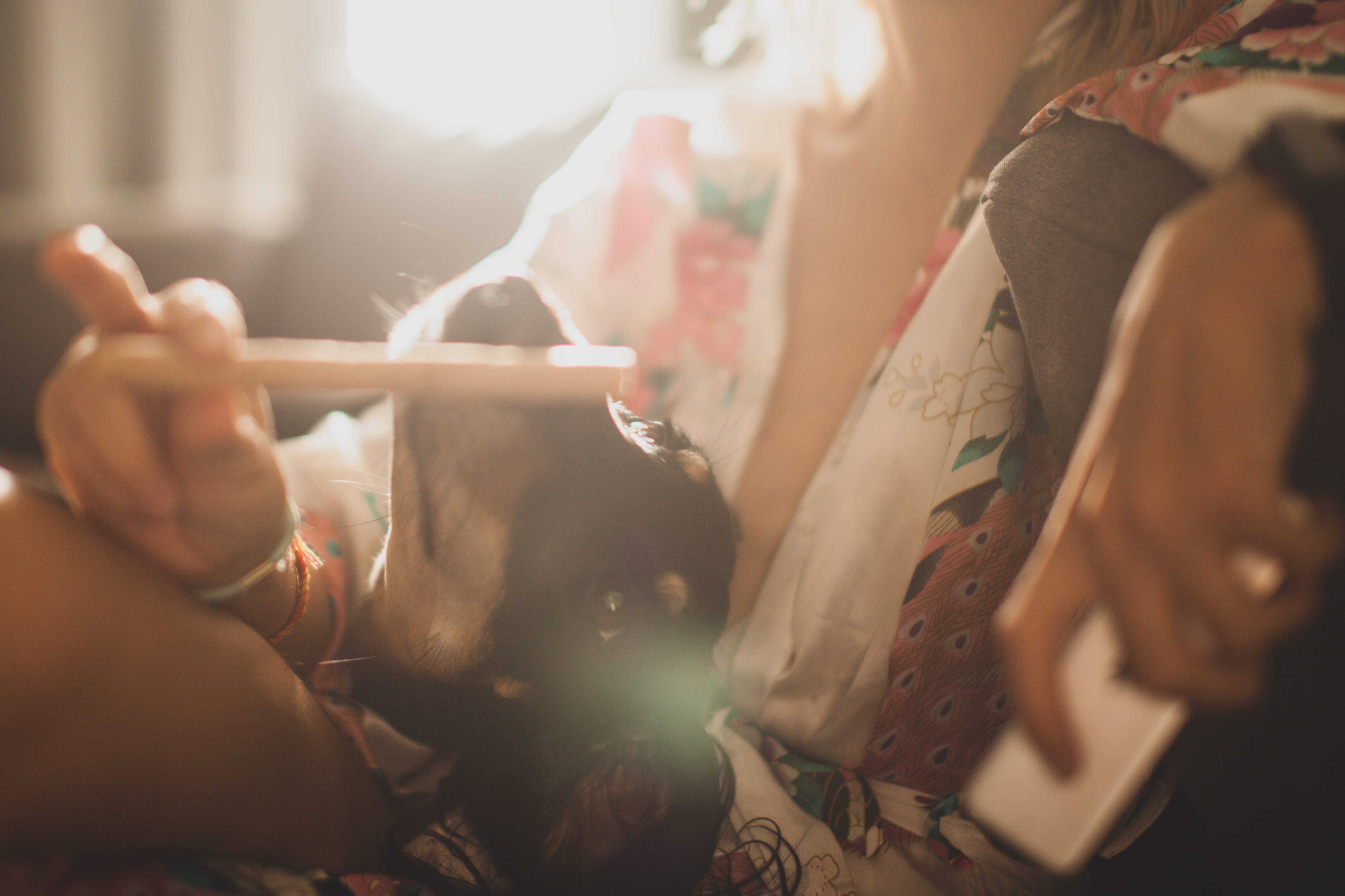 finger, wrist, indoors, lifestyles, midsection, selective focus, mammal, adult, human hand, domestic, ho chi minh, 4K, apparel, holding, one person, HD Wallpaper