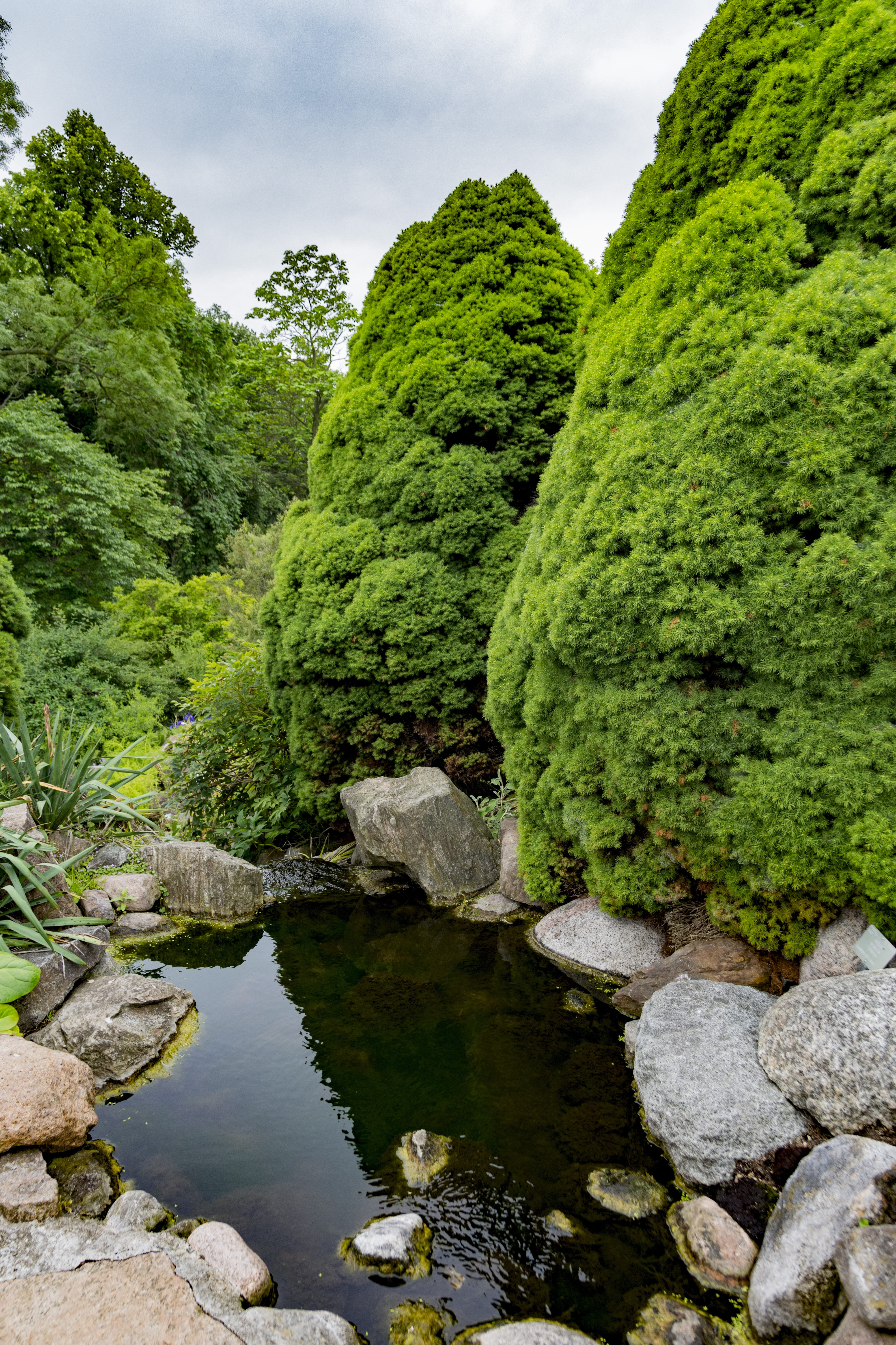 architecture, museum, copenhagen, canal, plant, tranquility, outdoors, beauty in nature, tourism, scenics - nature, tree, rock, european, tower, old, green color, Phone HD Wallpaper
