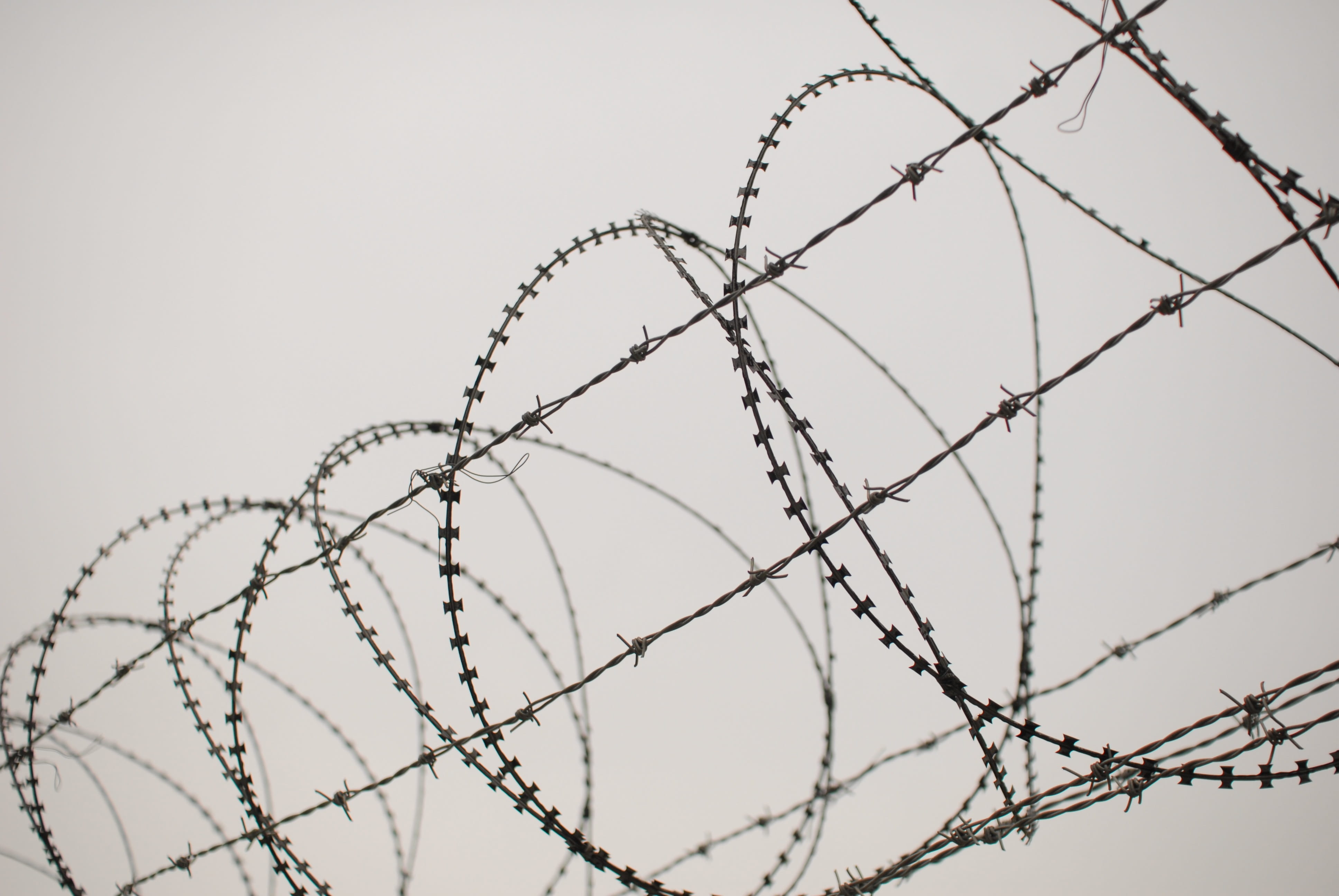 low angle view, spiral, iron, barbed Wire, no people, safety, sharp, razor wire, security, barwires, wire, sign, tabu, season, the division of the, metal, HD Wallpaper