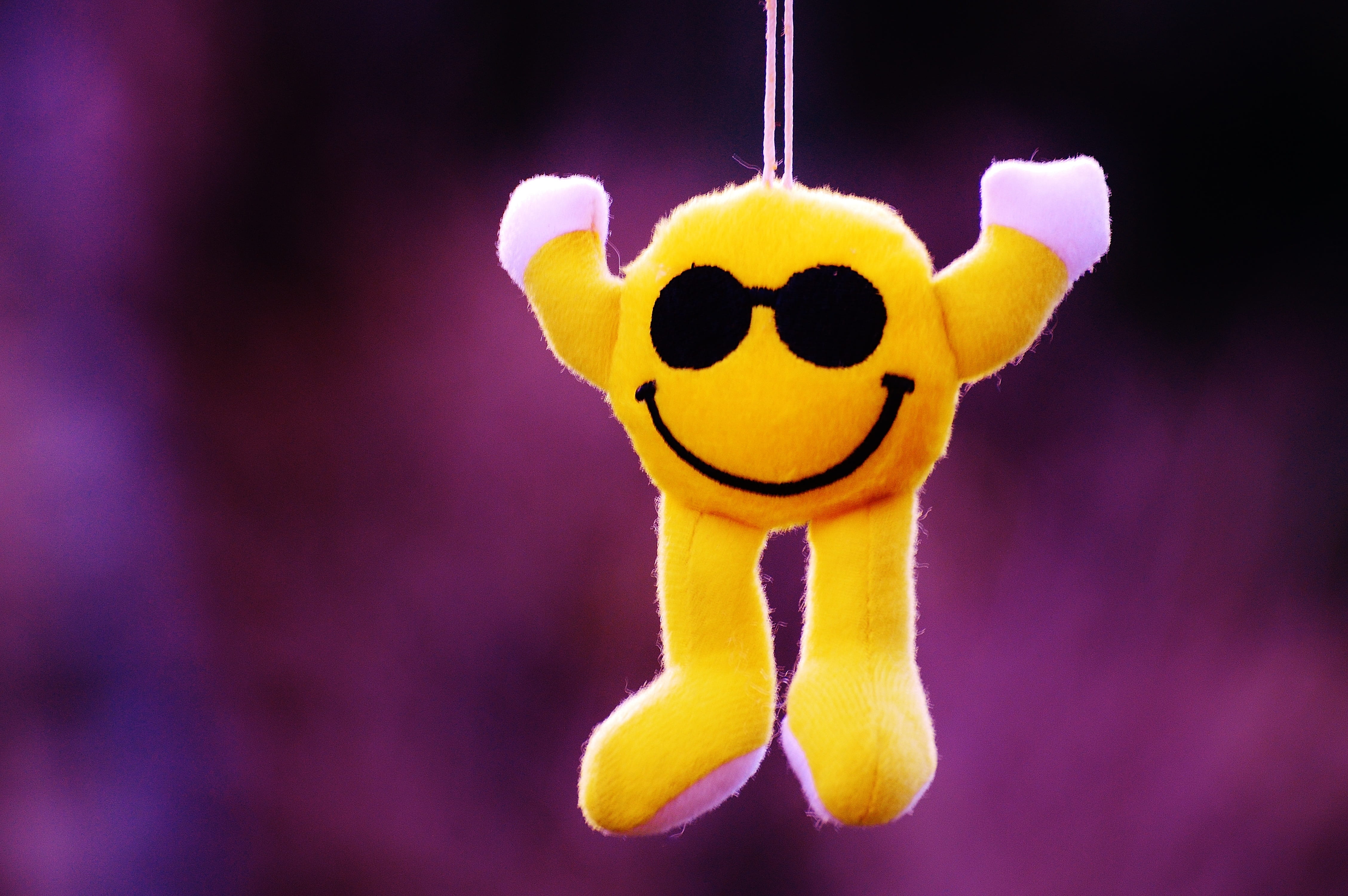 smile, no people, animal representation, emoji, focus on foreground, laugh, funny, focus, cheerful, hanging, single object, celebration, animal themes, HD Wallpaper
