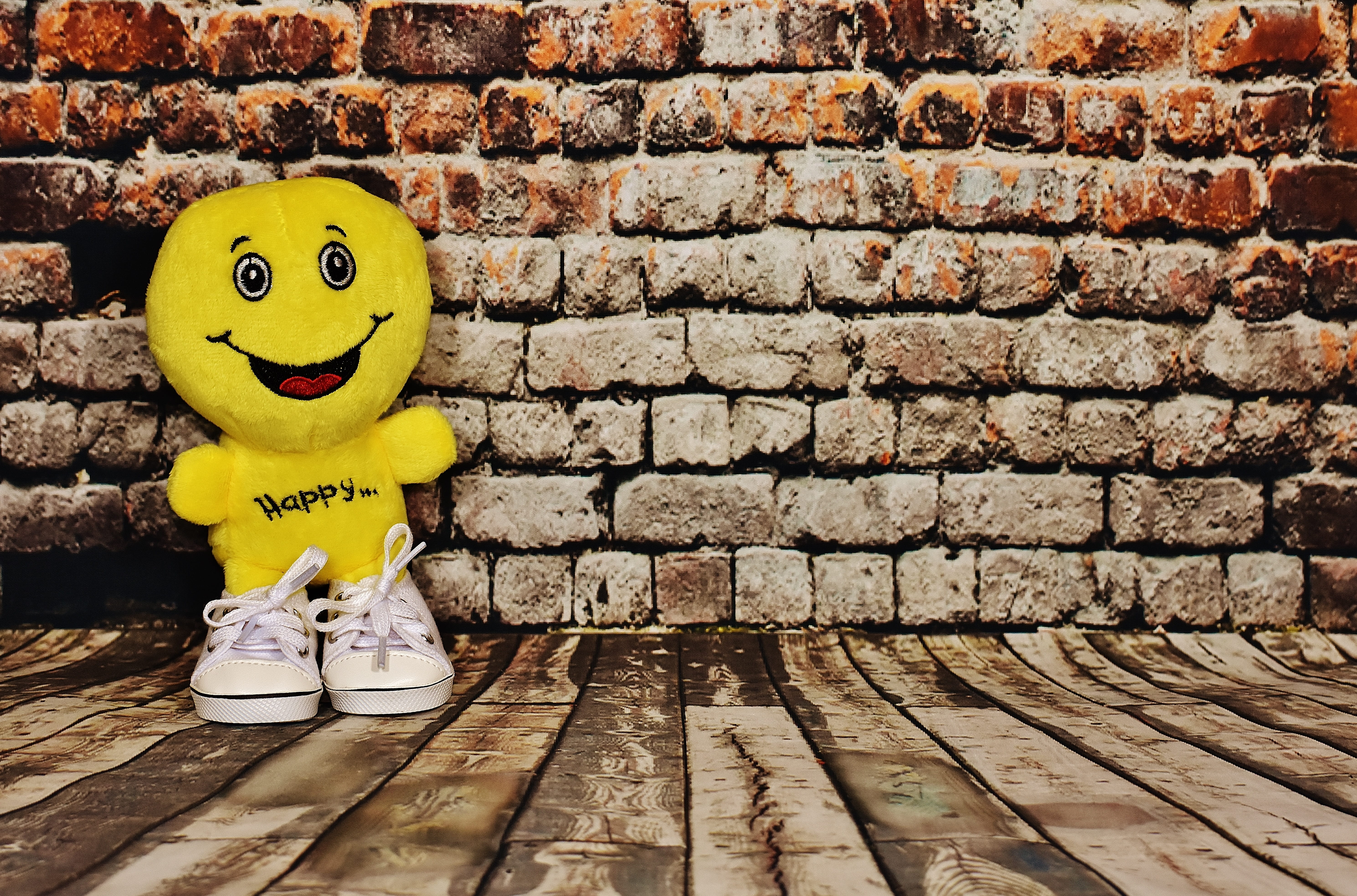 table, wall - building feature, brick, happy, brick wall, seat, feelings, plush, smiling, joy, art and craft, funny, animal, no people, wood - material, HD Wallpaper