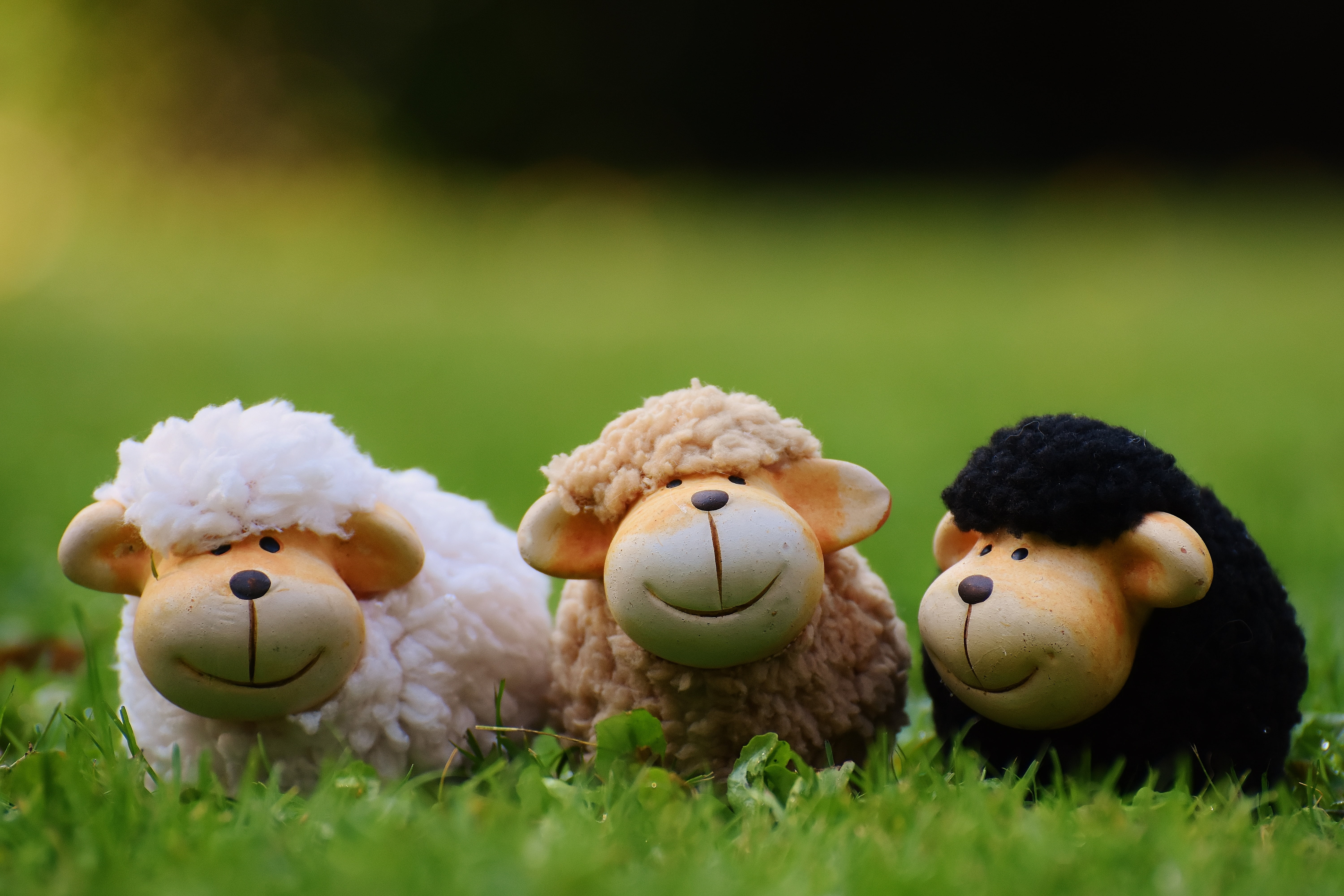 brown, teddy bear, deco, meadow, flock of sheep, outdoors, animal themes, animal representation, easter, close-up, sheep, lawn, animals, group of objects, HD Wallpaper