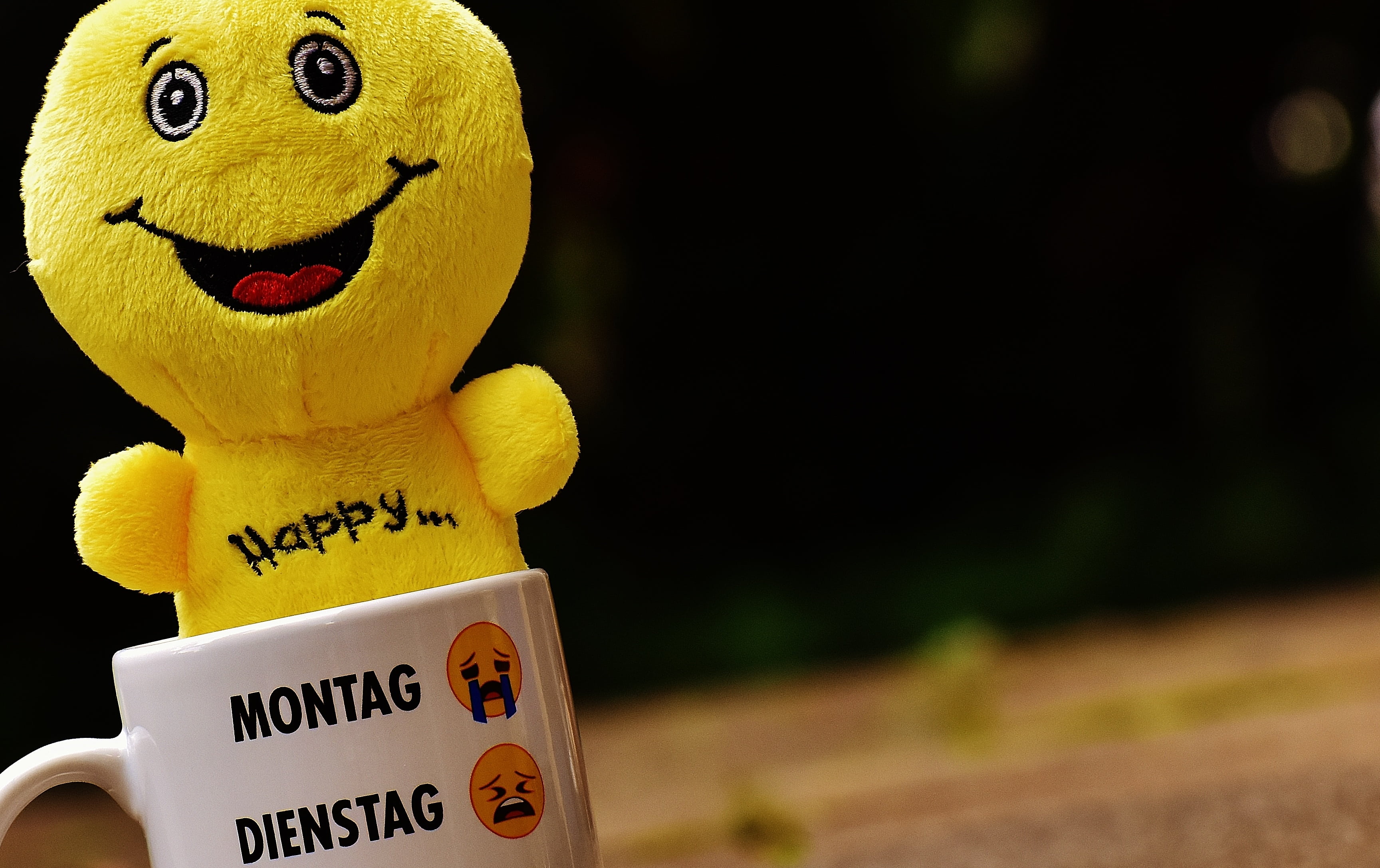 ominous, outdoors, 2K, smile, smiling, joy, no people, toy, close-up, luck, cup, humor, human representation, text, all, yellow, still laugh, smilies, HD Wallpaper