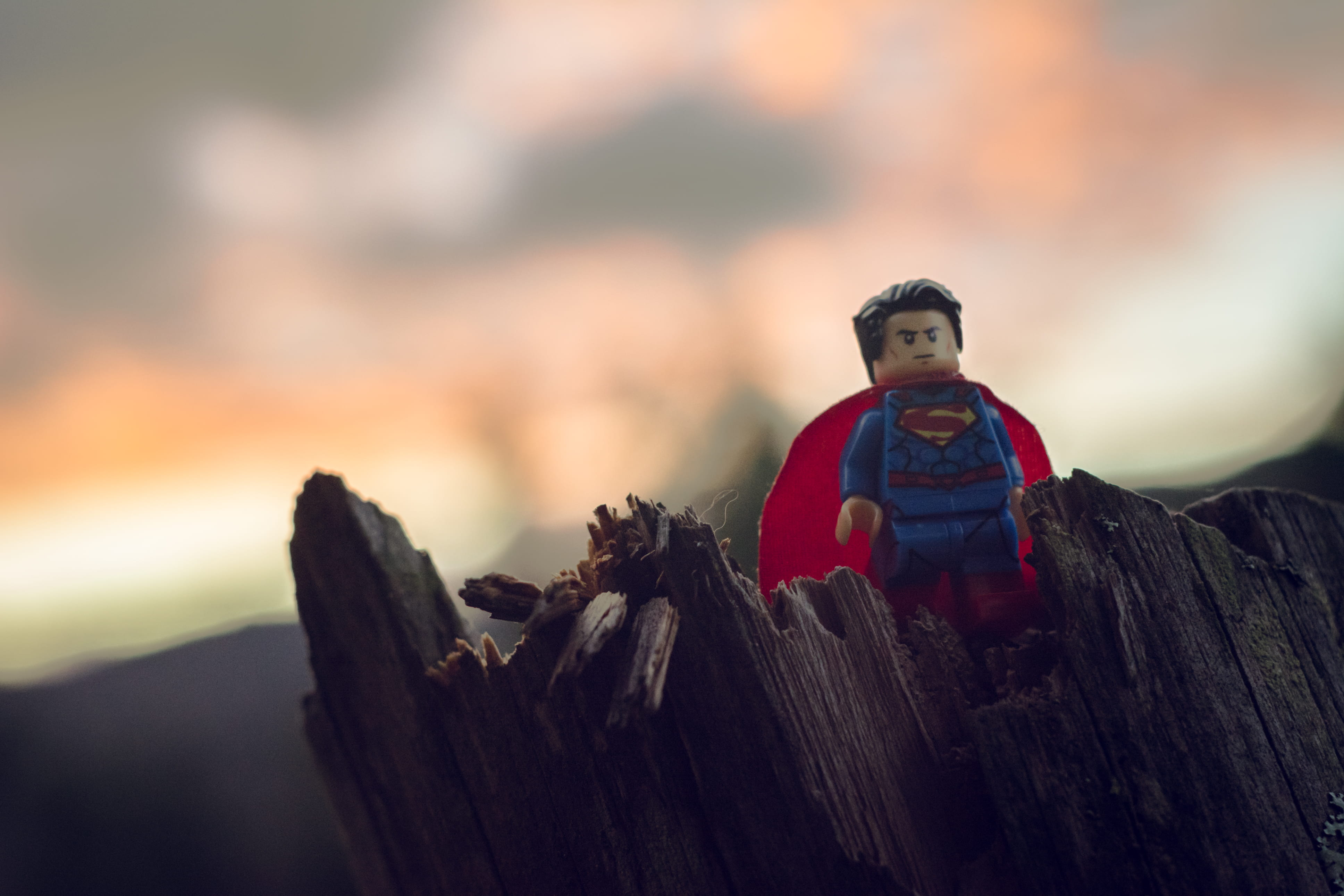 trunk, brown, wood - material, log, surface, mini, tree, close-up, sky, outdoors, selective focus, human representation, minifigure, focus on foreground, HD Wallpaper