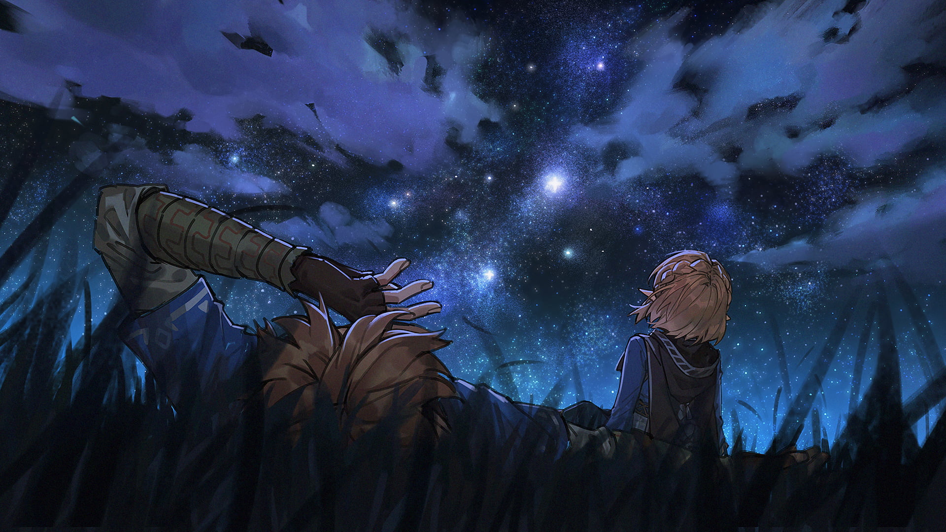sky, 1080P, night, grass, video game art, stars, Link, artwork, Princess Zelda, The Legend of Zelda, HD Wallpaper