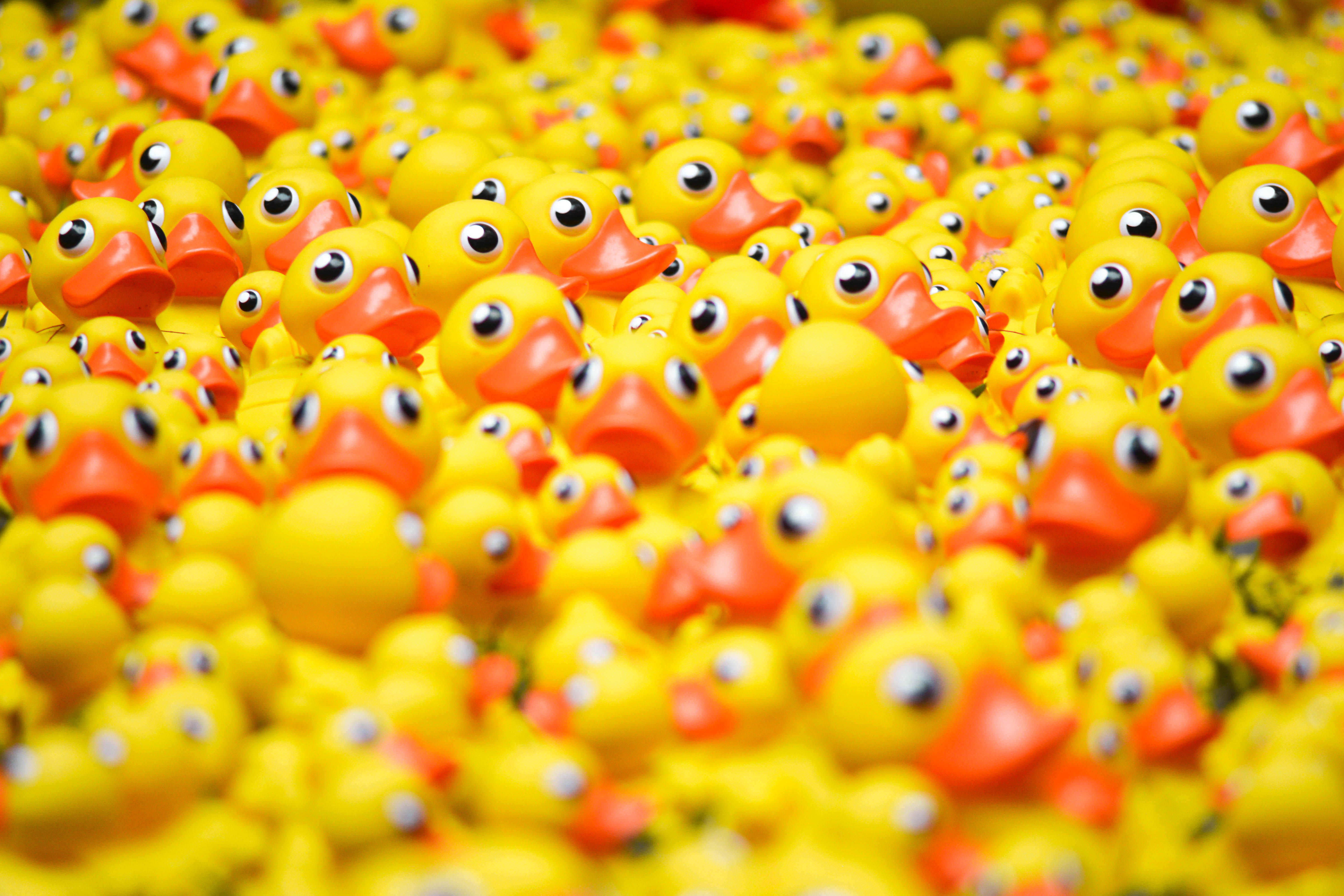 no people, eye, bath, close-up, toy, kid, selective focus, choice, duck, orange, abundance, pile, animal, orange color, bath duck, large group of objects, HD Wallpaper