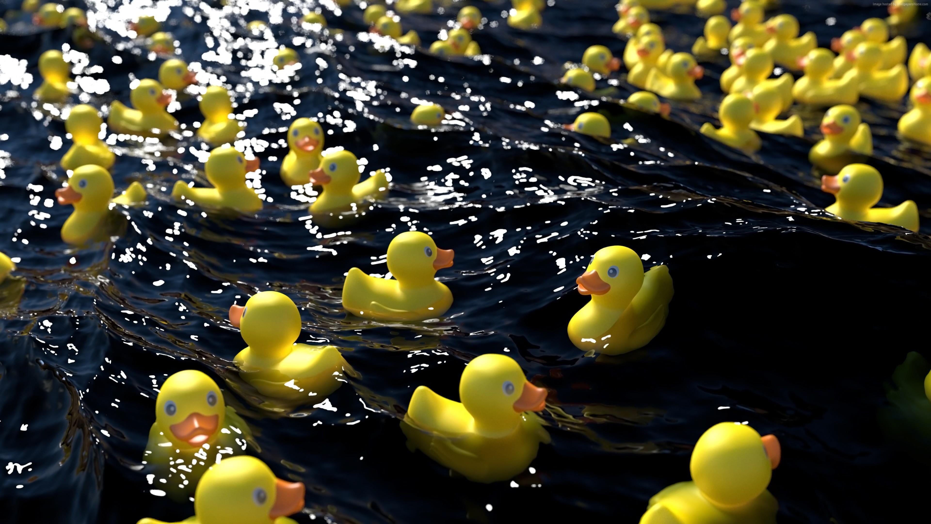 high angle view, charity, animal representation, race, bird, representation, candle, close-up, rubber duck, rubber, water, lake, floating, abundance, outdoors, HD Wallpaper