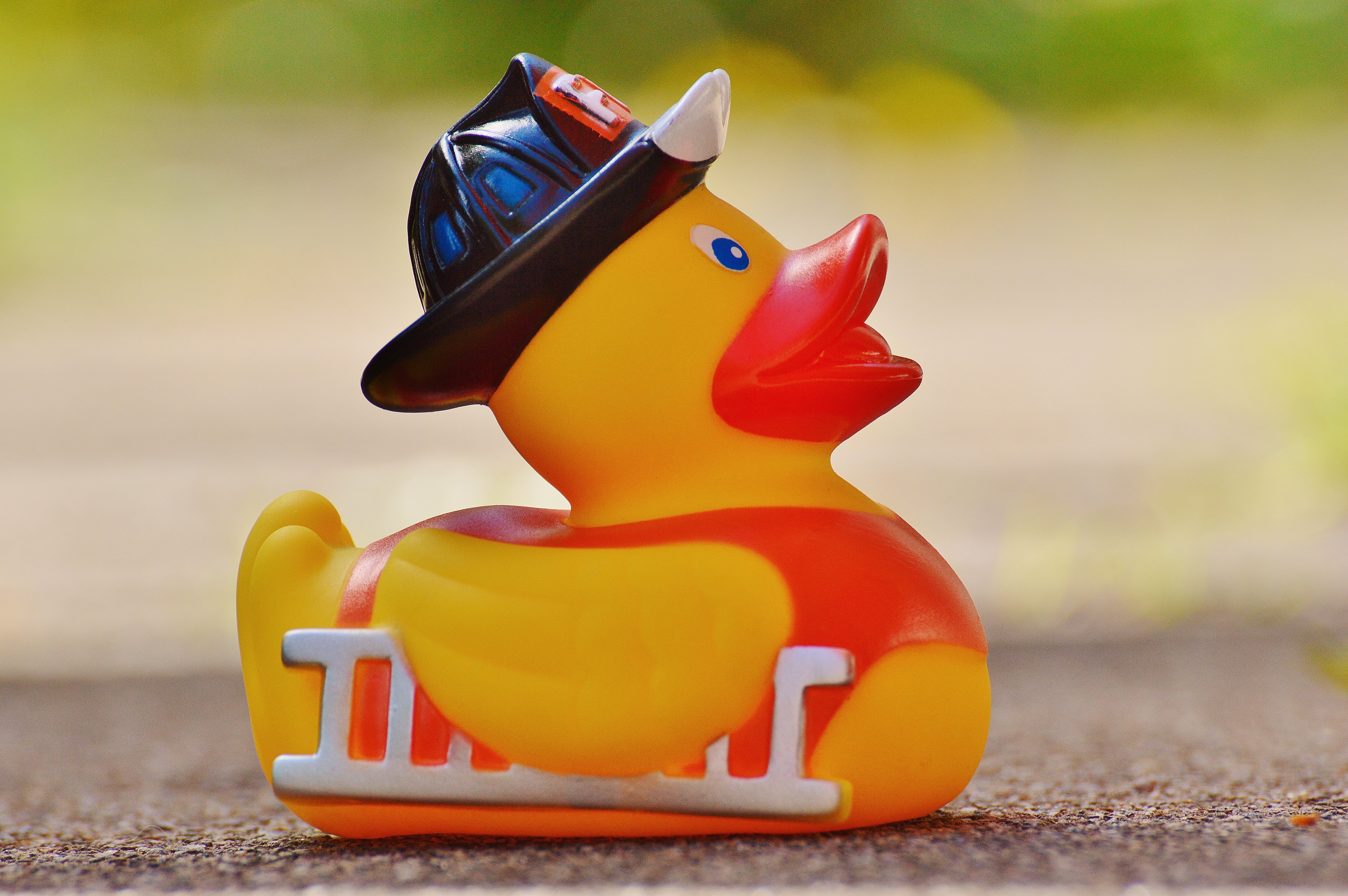 figurine, focus on foreground, animal themes, red, childhood, 5K, animal, rubber duck, rubber, small, poultry, duck, summer, plastic, representation, close-up, HD Wallpaper