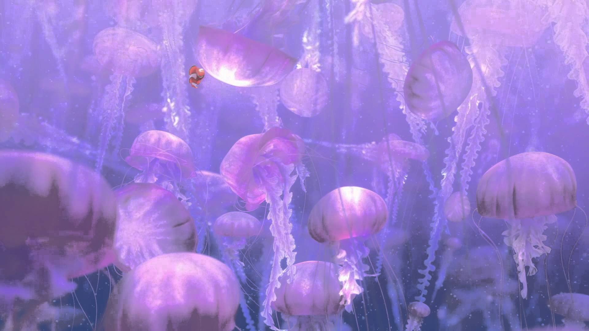 family, sea, finding, fish, disney, underwater, ocean, tropical, jellyfish, animation, nemo, adventure, drama, 1080P, comedy, HD Wallpaper