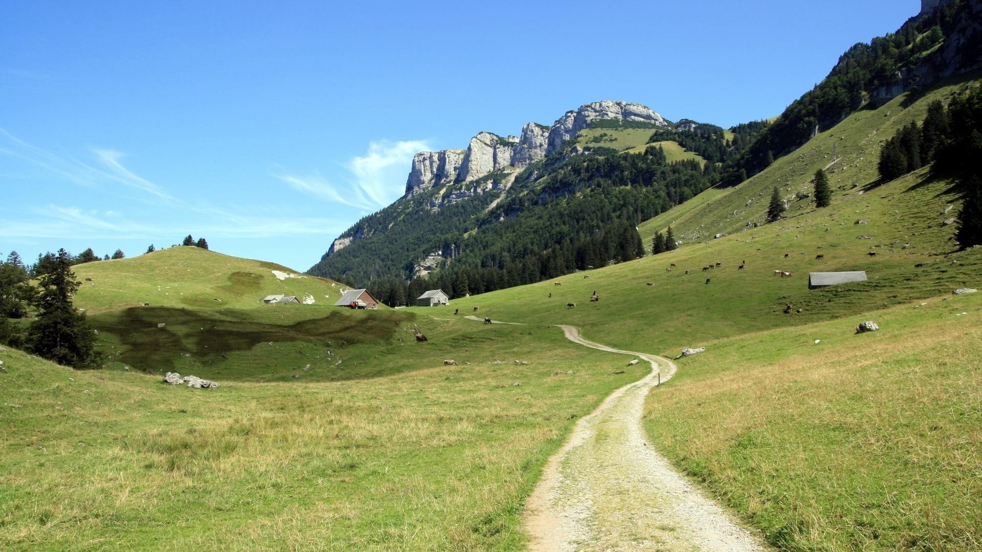 road, livestock, houses, mountains, meadows, grazing, nature and landscapes, high, 1080P, HD Wallpaper