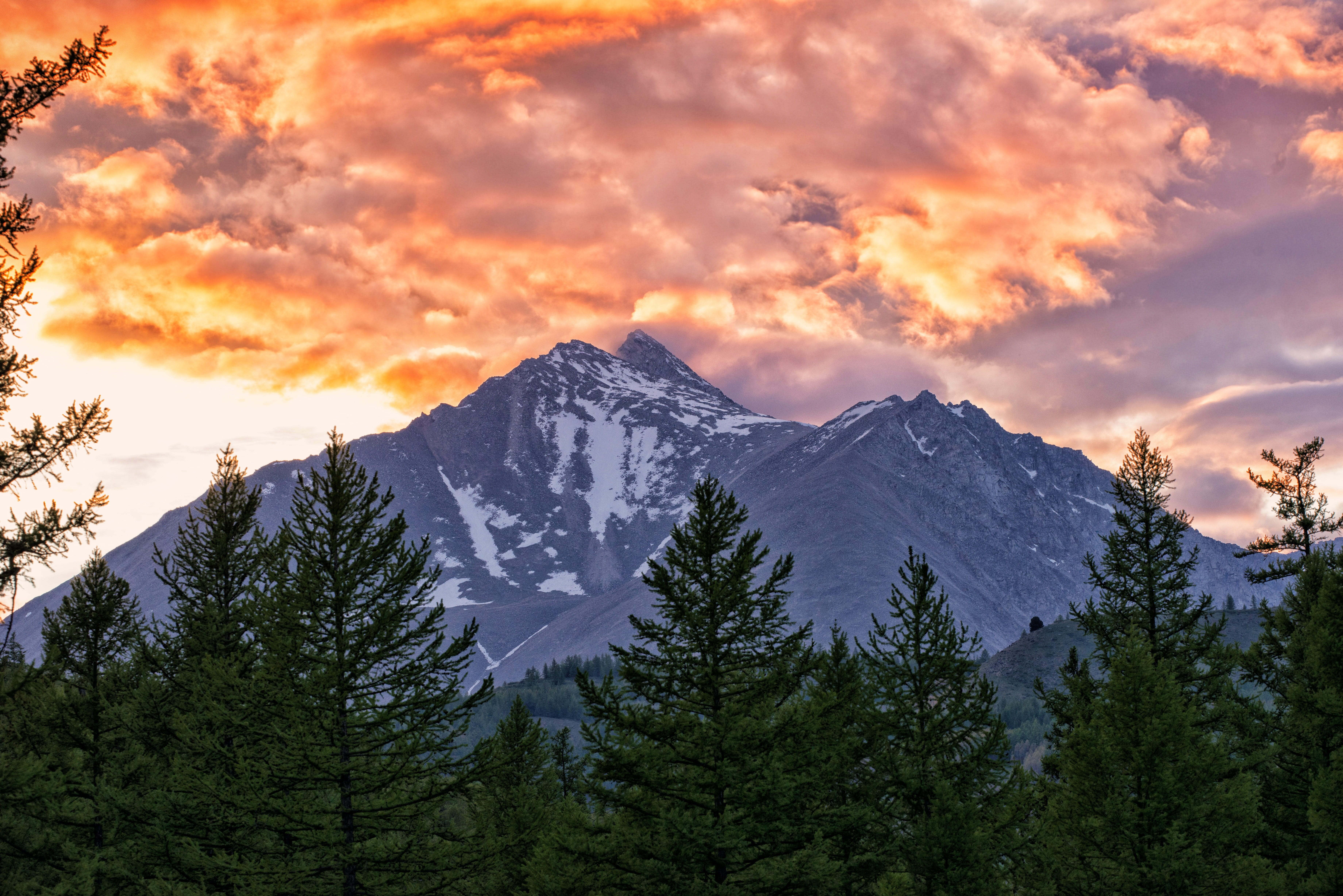 beauty In Nature, coniferous tree, cloud - Sky, tree, plant, snowcapped mountain, mongolia, cold temperature, nature, snow, sky, Dusk, pine woodland, mountain Range, HD Wallpaper