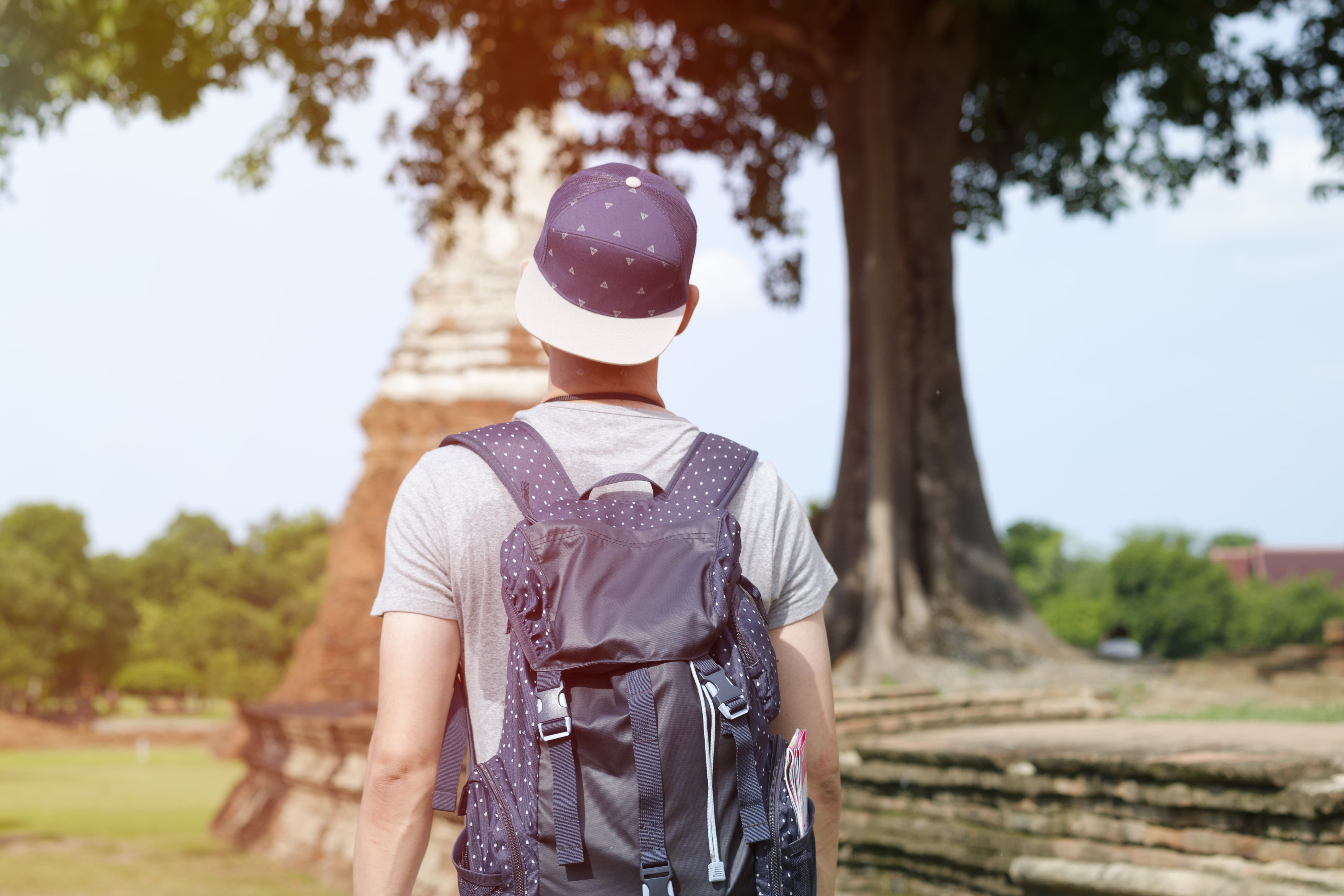 cap, casual clothing, plant, real people, men, one person, traveller, hat, 4K, bag, clothing, day, leisure activity, sunlight, standing, nature, waist up, HD Wallpaper