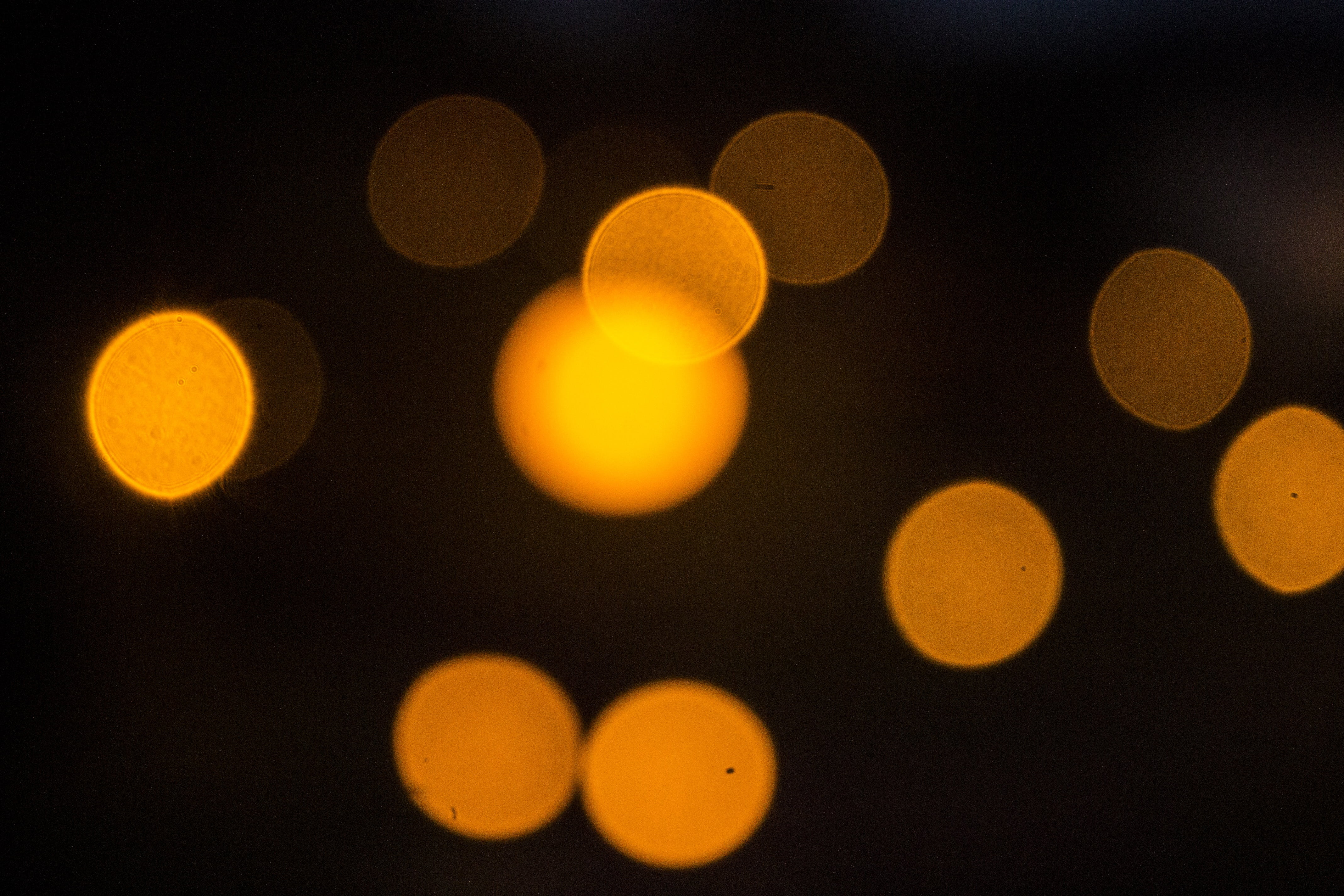 orange dots, background, lens flare, in a row, illuminated, light - natural phenomenon, no people, black background, geometric shape, orange, circle, night, HD Wallpaper