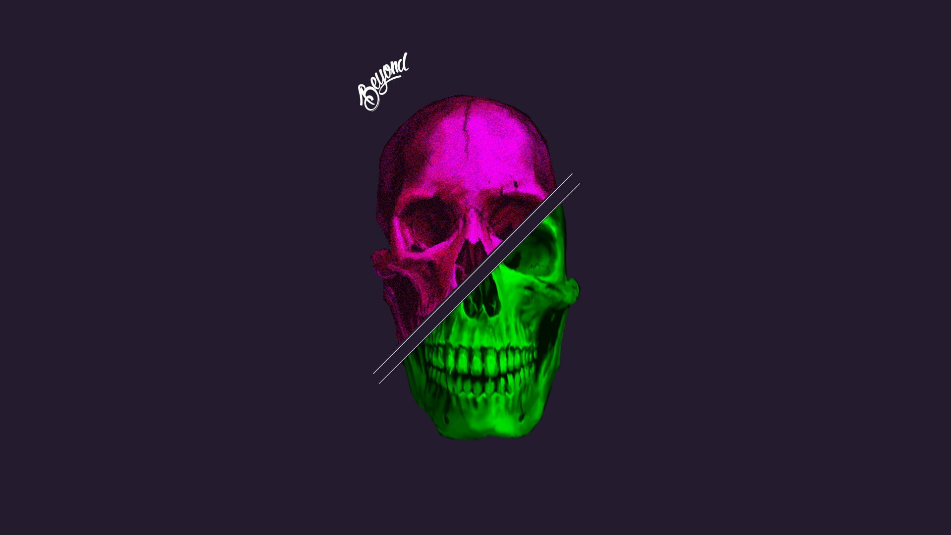 close-up, healthy eating, green color, pink color, healthcare and medicine, copy space, one animal, no people, biology, food, indoors, 1080P, cut out, HD Wallpaper