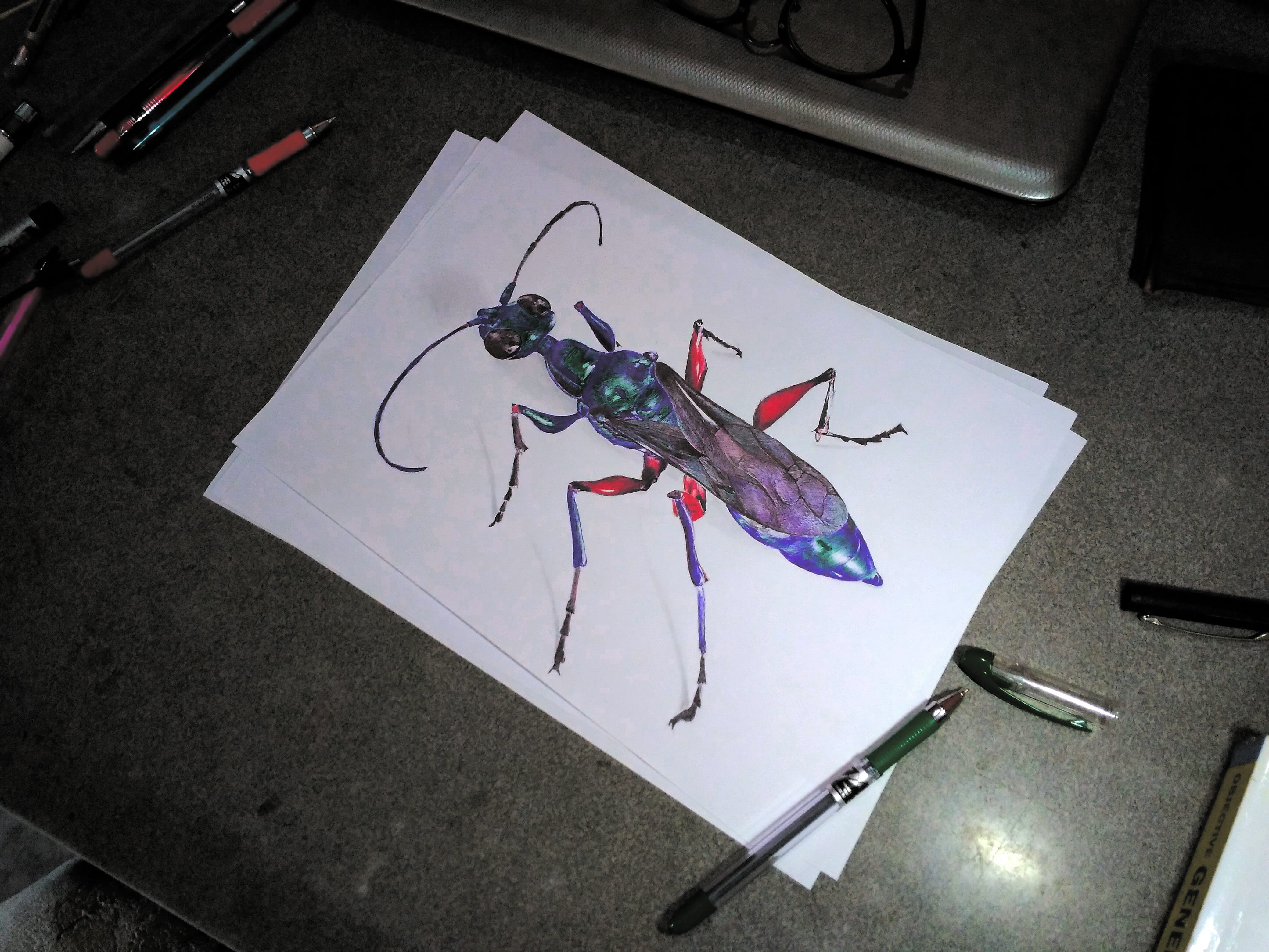 emerald cockroach wasp, day, indoors, blue, wireless technology, ballpoint art, paper, art and craft, insect, animal, table, no people, sketch, 4K, pen sketch, HD Wallpaper
