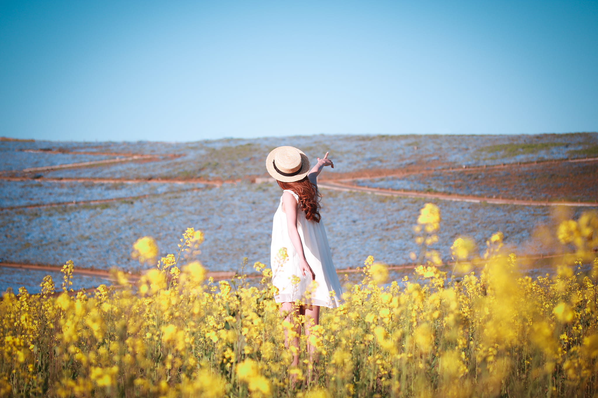 one young woman only, adult, flowering plant, flower, hat, yellow, nature, standing, summer, dress, wearing, tranquil Scene, blue, one woman only, young Adult, HD Wallpaper