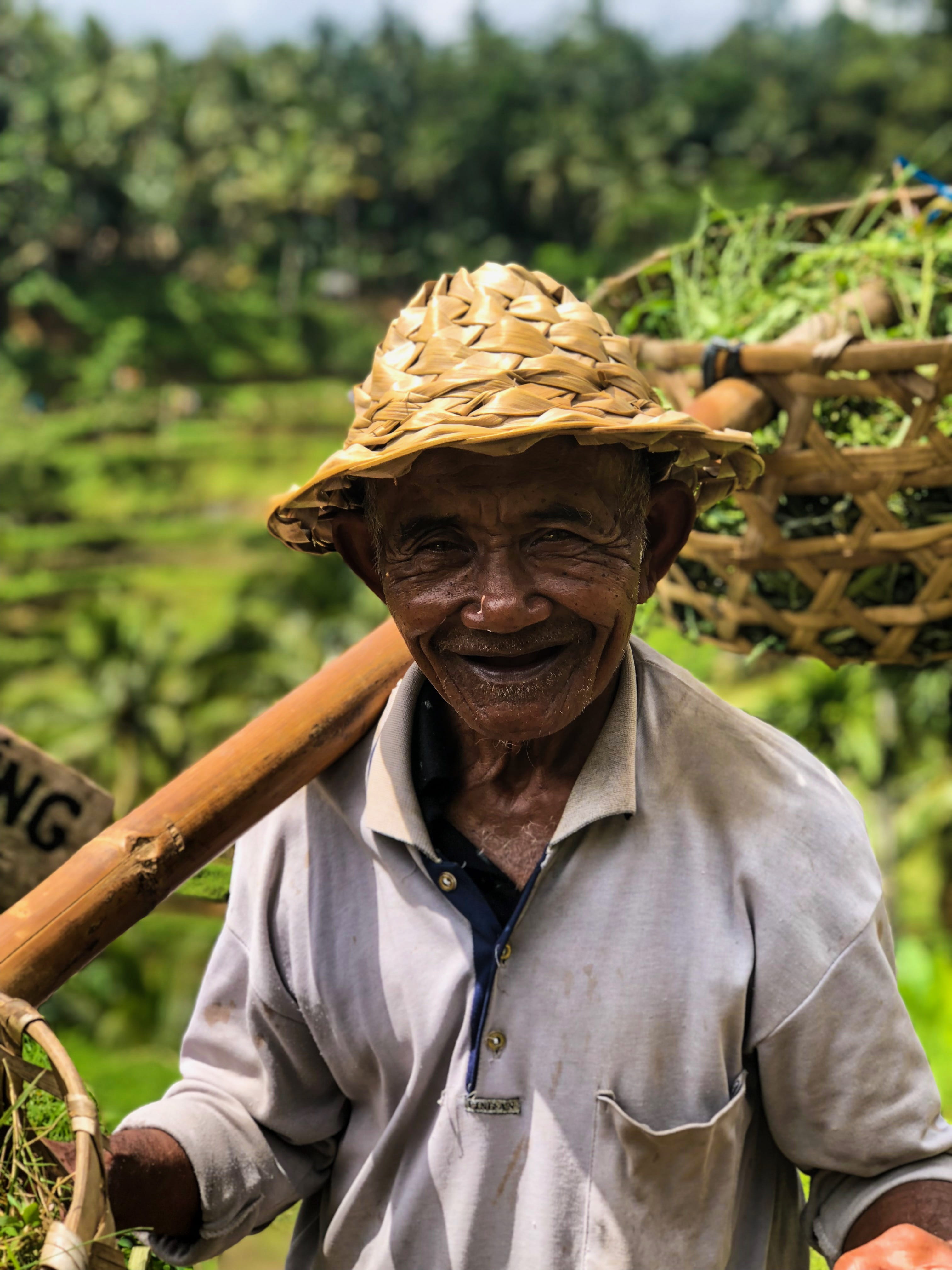 worker, animal, human, real people, focus on foreground, apparel, occupation, garden, senior adult, day, hat, mature men, asian, sun hat, bali telelang rice fields, Phone HD Wallpaper