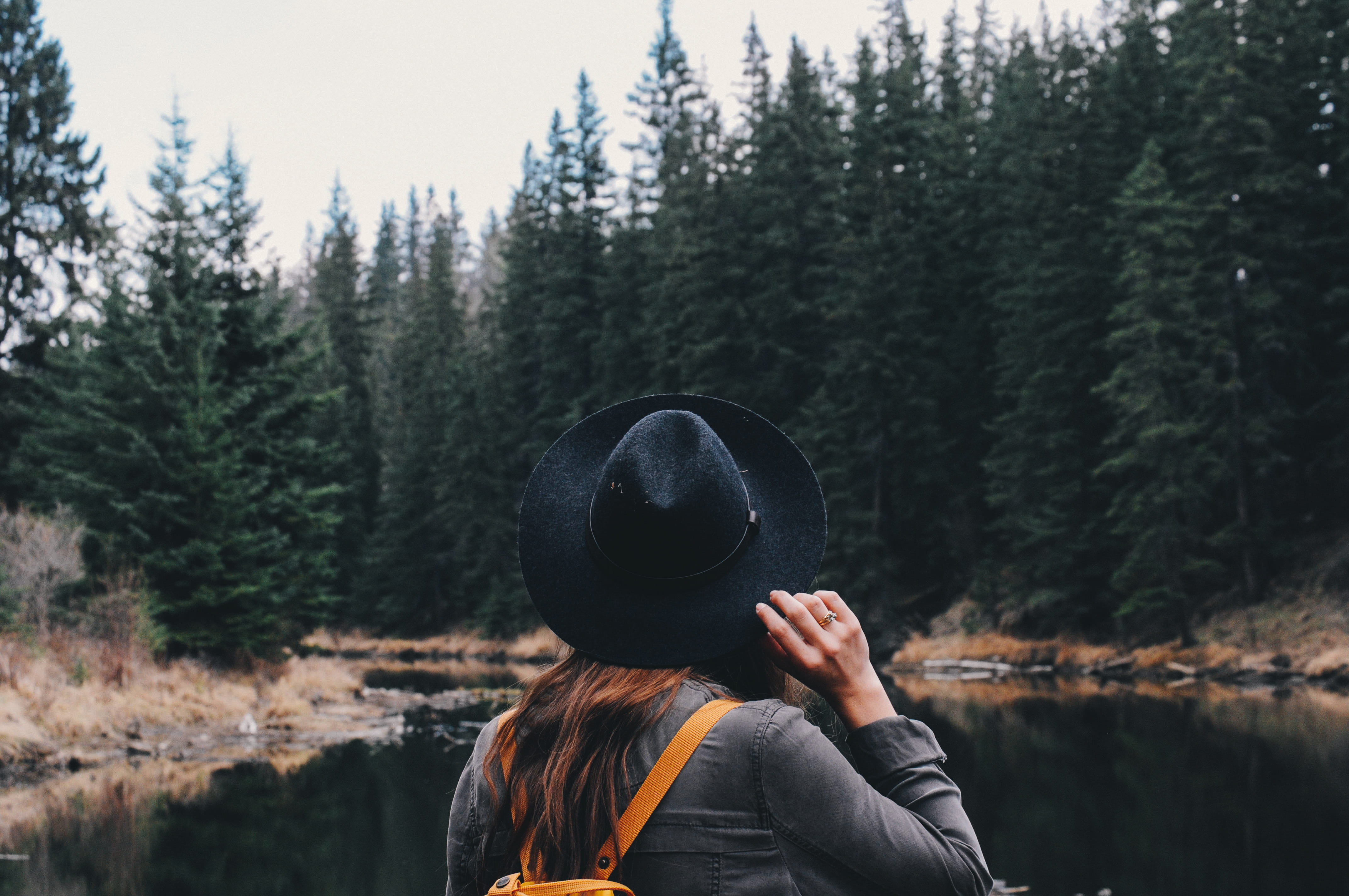 plant, standing, hat, beauty in nature, tree, river, scenics - nature, rear view, lifestyles, headshot, winter, pine trees, people, warm clothing, looking, HD Wallpaper