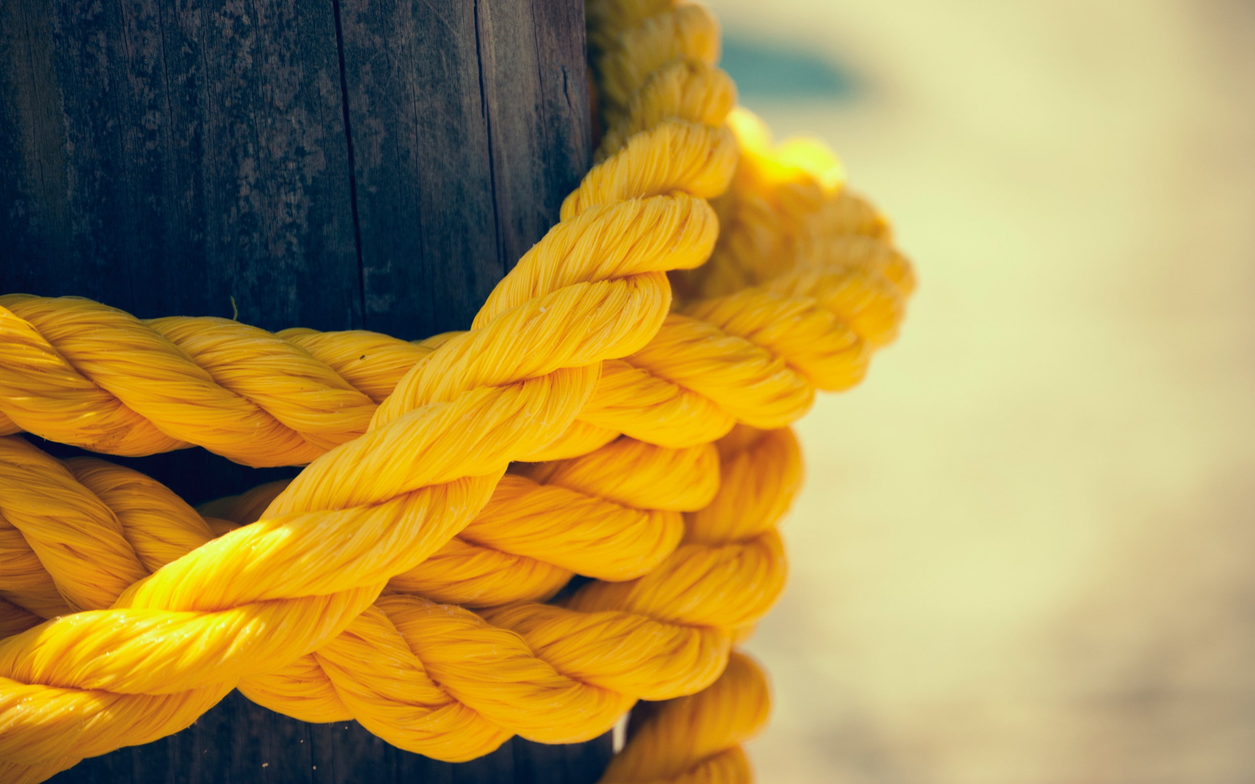 closeup, 2K, ropes, wood, depth of field, HD Wallpaper