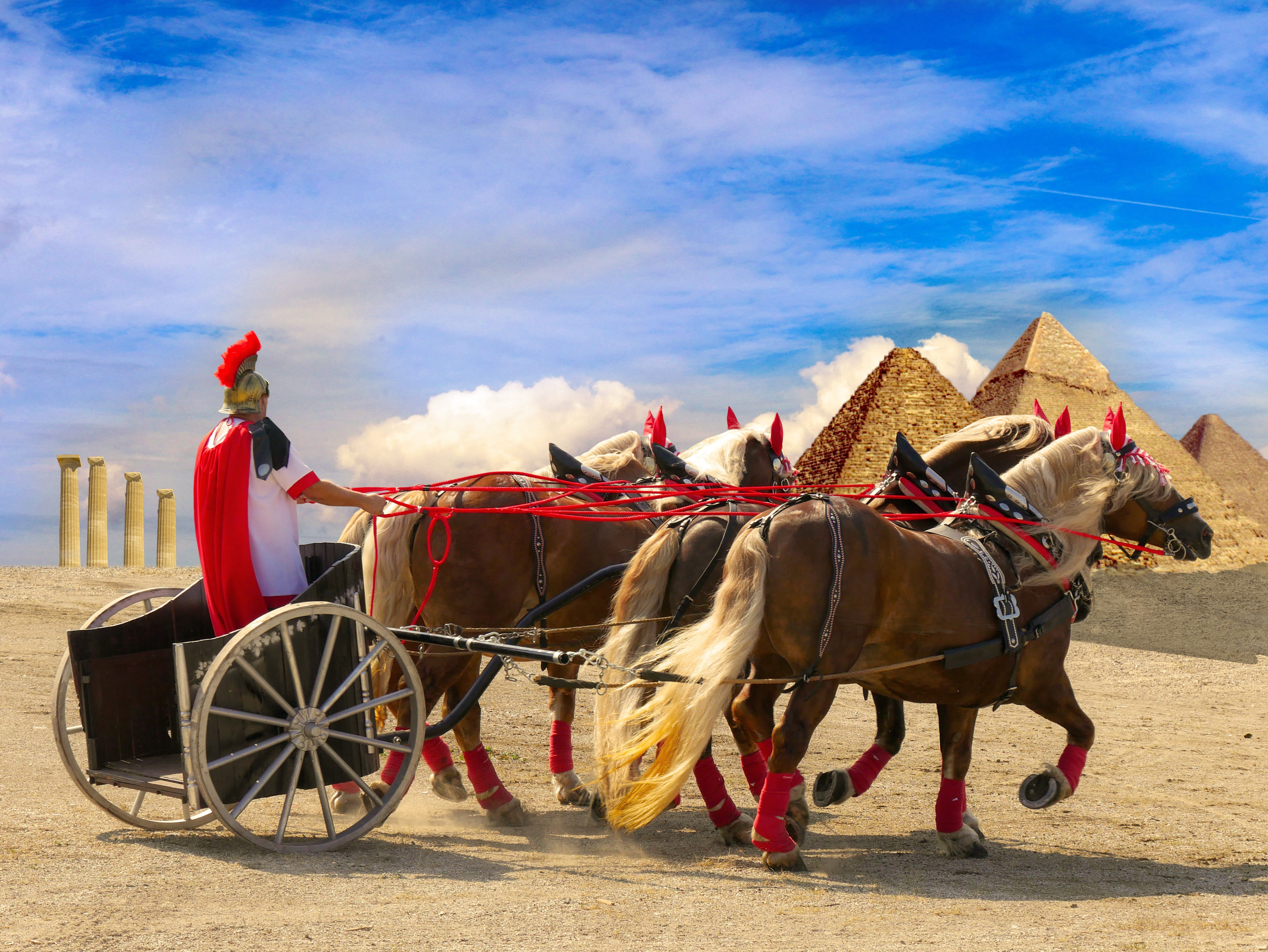 columnar, egypt, antiquity, building, riding, legionnaire, composing, cart, helm, rome, animal wildlife, working animal, animal themes, outdoors, nature, HD Wallpaper