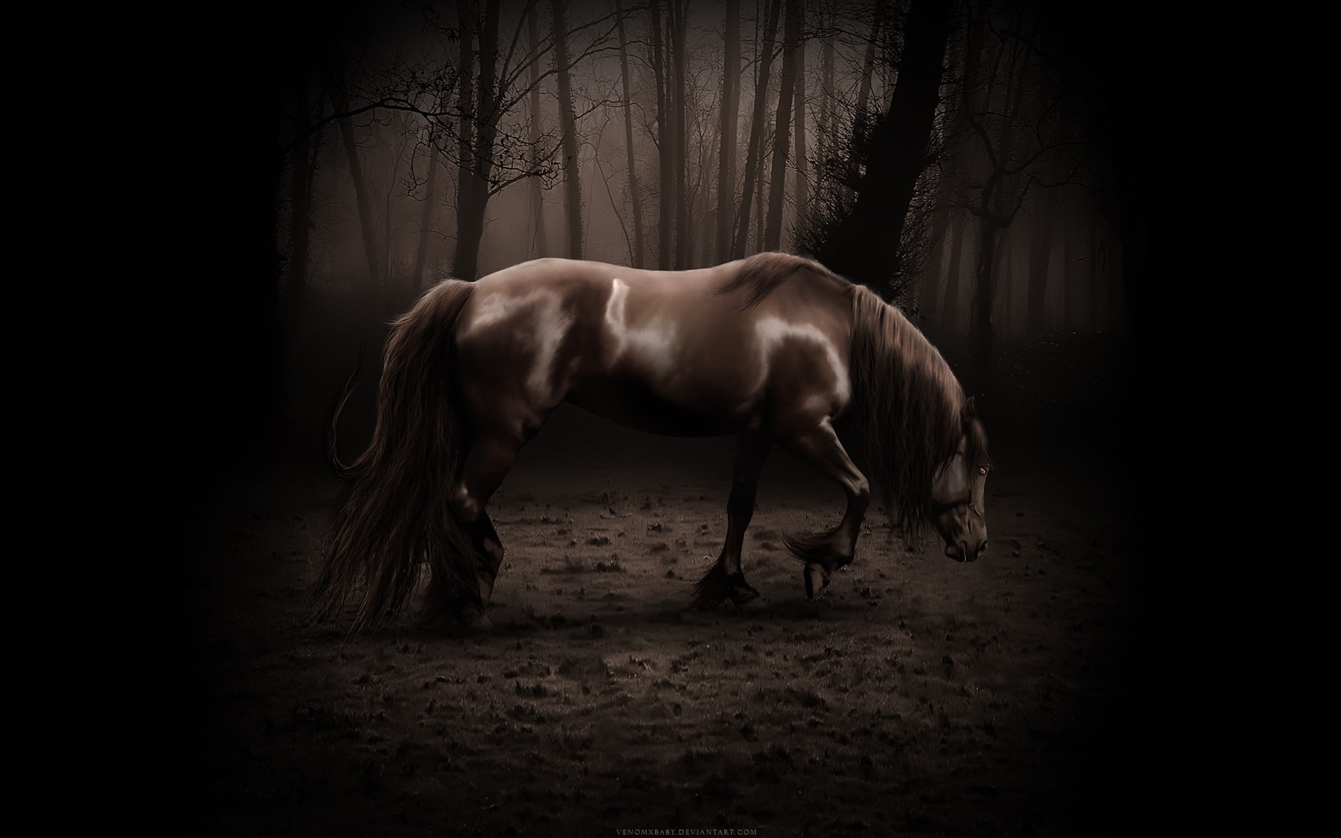 animals, 1080P, brown, horse, war, HD Wallpaper