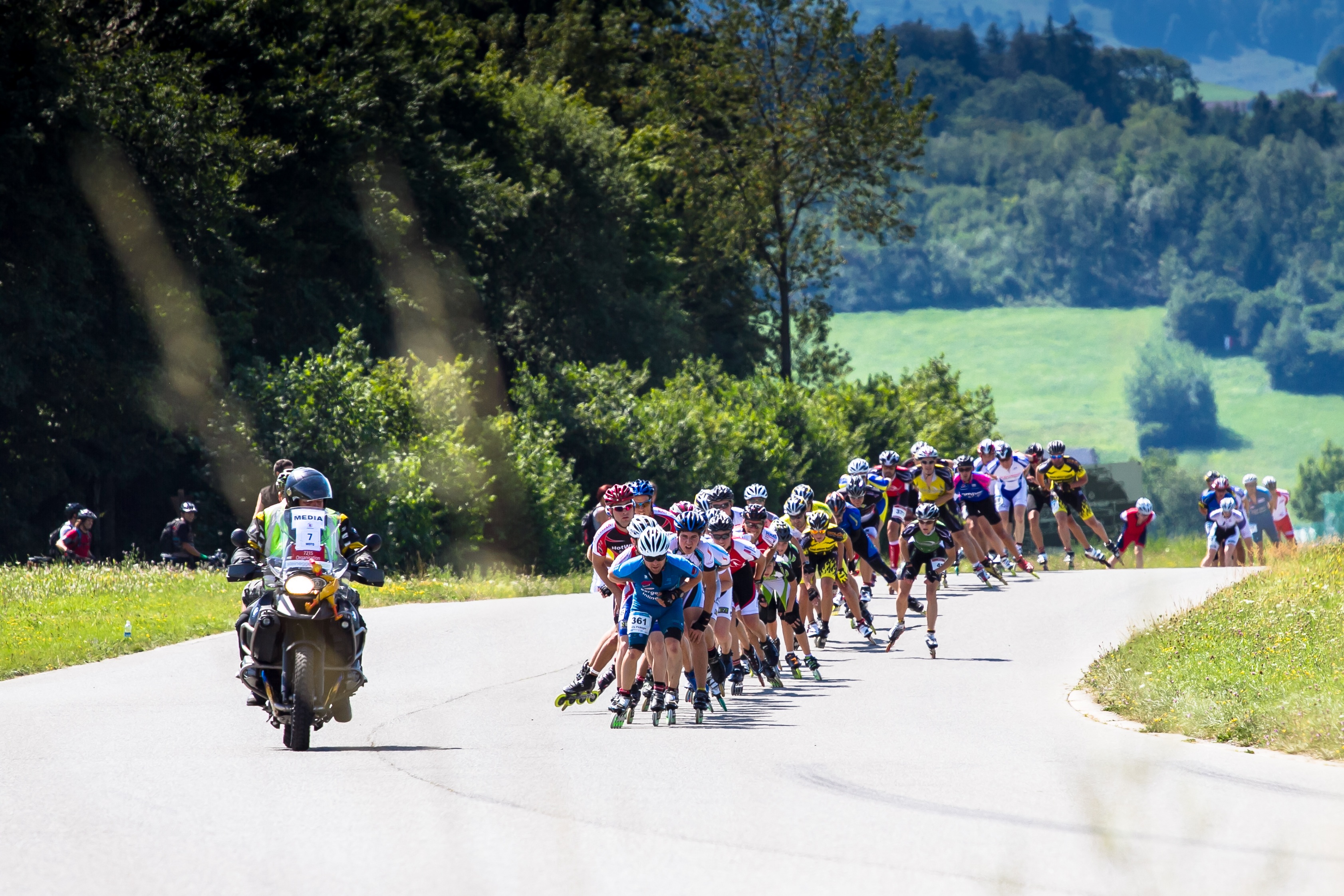 transportation, domestic animals, inline race, competition, group of people, animal wildlife, domestic, riding, crowd, mammal, activity, mode of transportation, HD Wallpaper