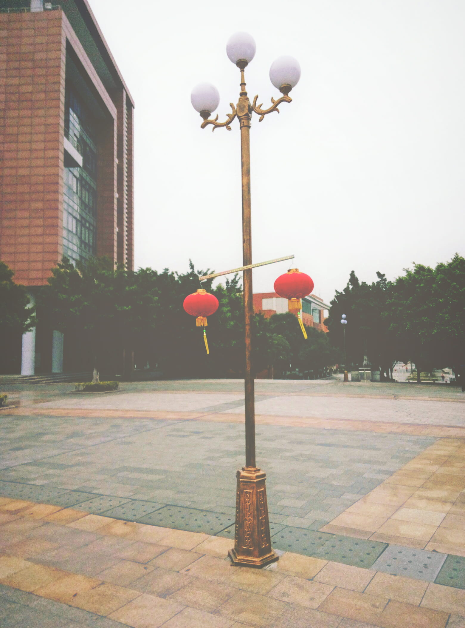 tree, lighting equipment, outdoors, plant, street, sidewalk, guangzhou shi, no people, built structure, architecture, road, china, hua nan li gong da xue, Phone HD Wallpaper