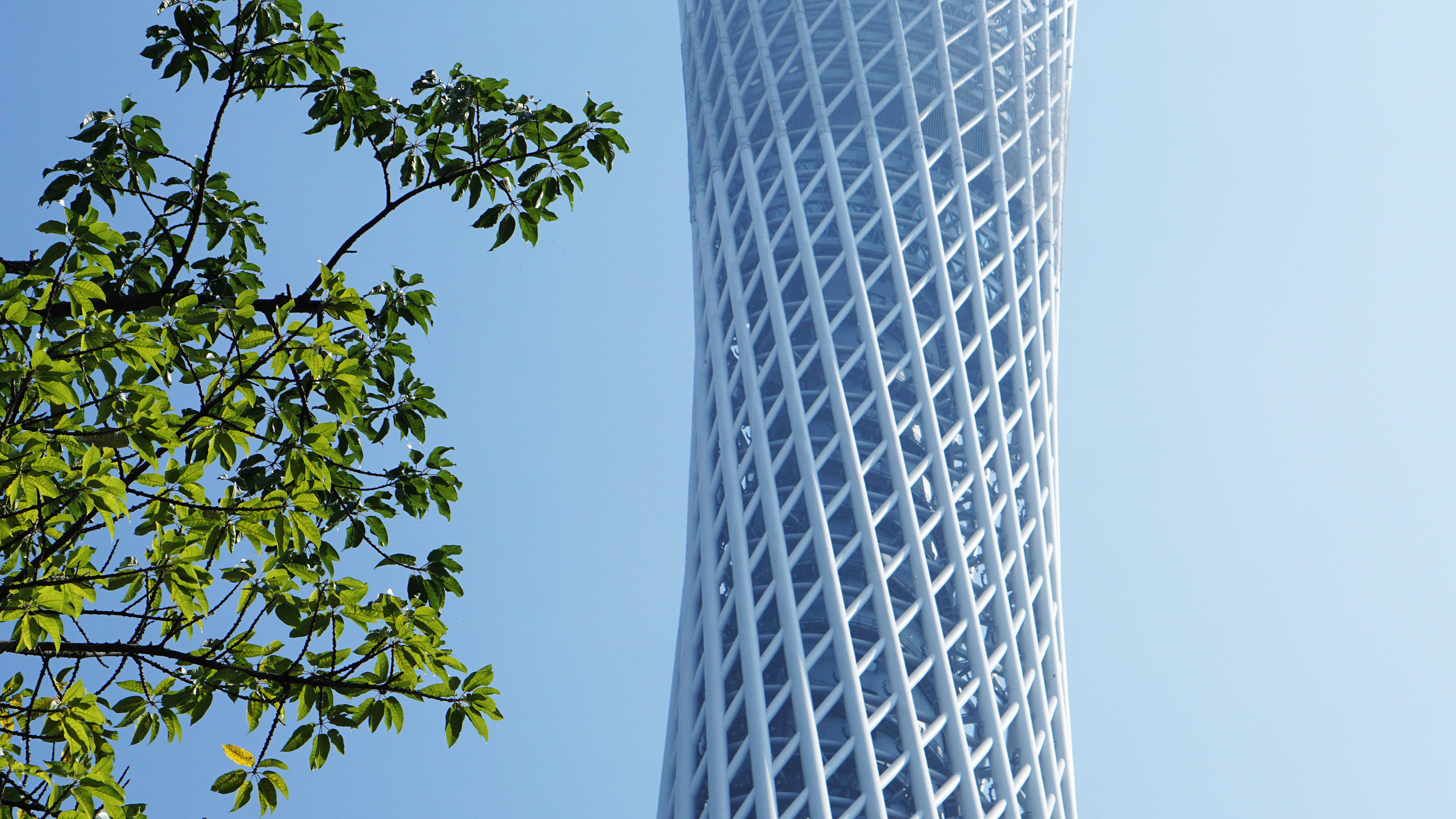 2K, no people, built structure, office, plant, outdoors, building exterior, nature, tree, office building exterior, clear sky, sky, guangzhou shi, modern, HD Wallpaper