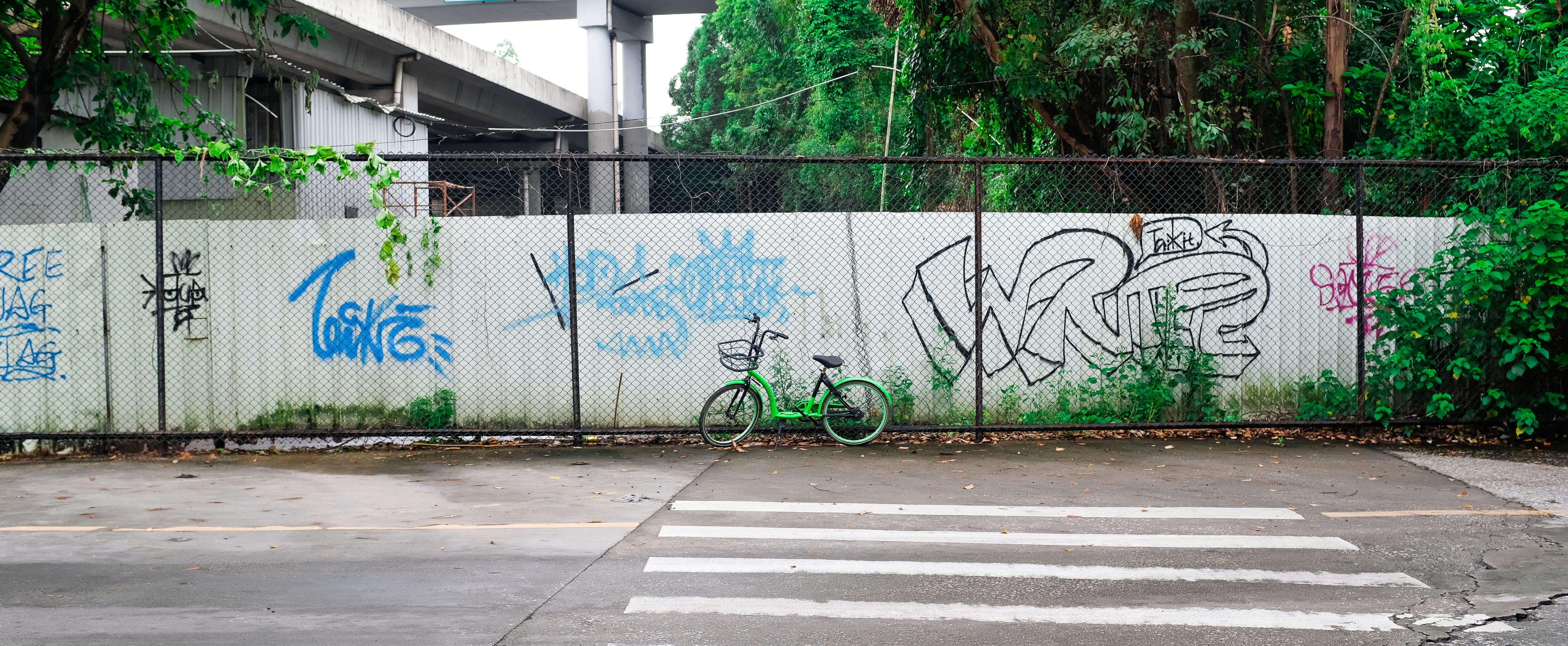 mural, tree, built structure, creativity, bike, south china agricultural university, 4K, street, footpath, university, city, guangzhou shi, wall, day, HD Wallpaper