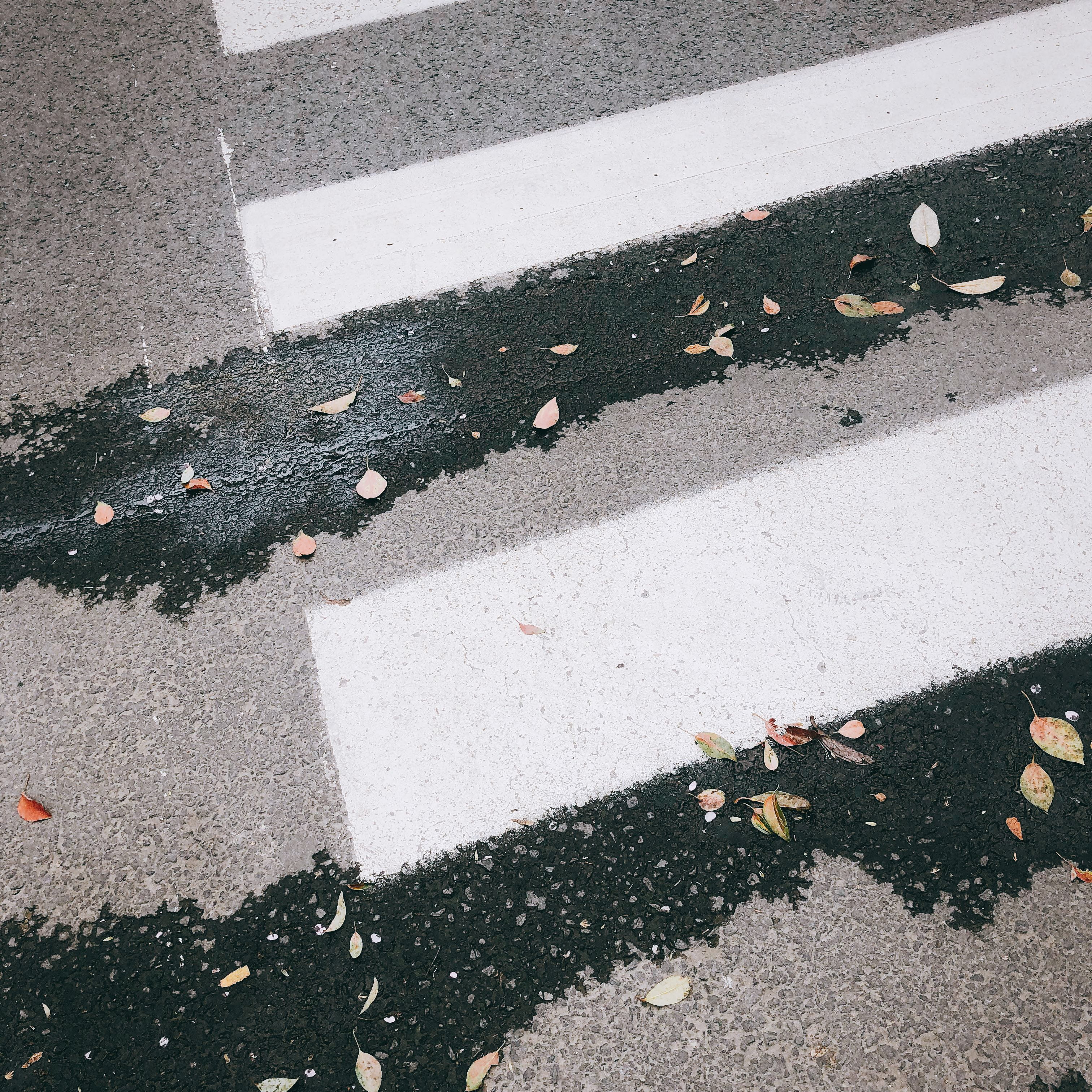 street, day, pedestrian, china, peel, nature, white color, asphalt, nan jing da xue bei yin yang ying 8 hao su she qu 8 zhuang, orange, henna, plant, sign, Phone HD Wallpaper