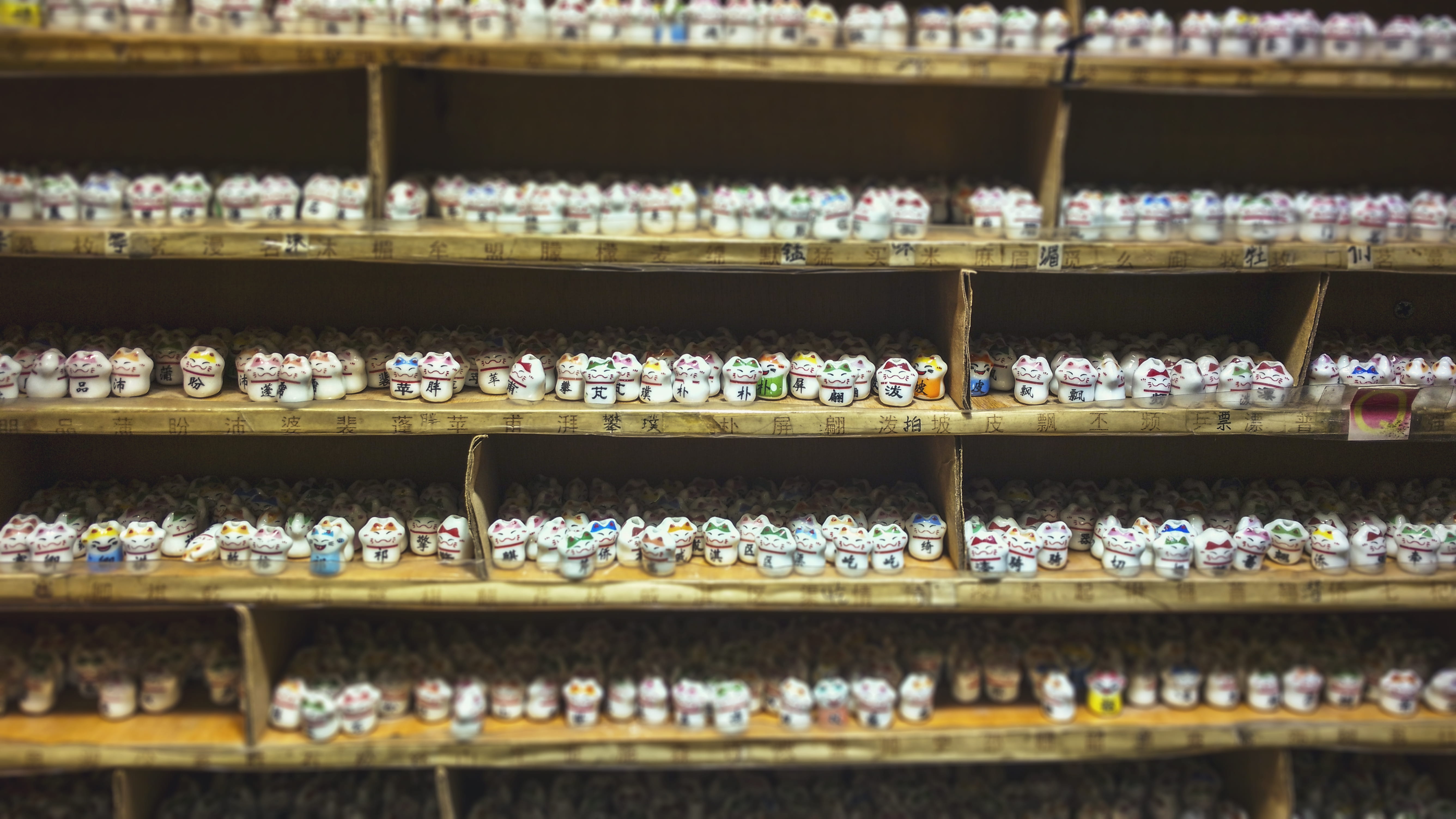 retail, market, business, cats, 5K, street, choice, arrangement, toy, variation, indoors, large group of objects, day, no people, in a row, shelf, sale, HD Wallpaper