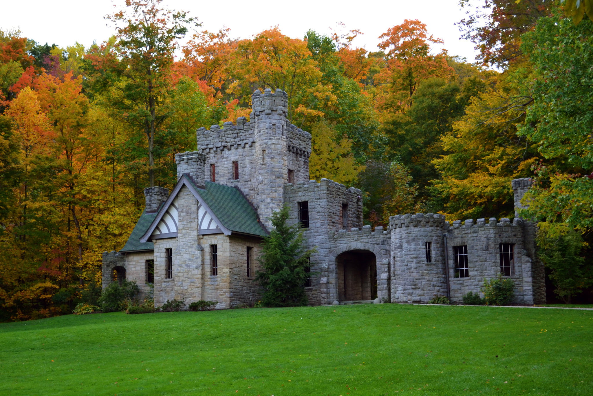growth, 1080P, green color, tree, land, the past, gray, glade, change, nature, Squires Castle, autumn, outdoors, castle, day, field, architecture, forest, HD Wallpaper