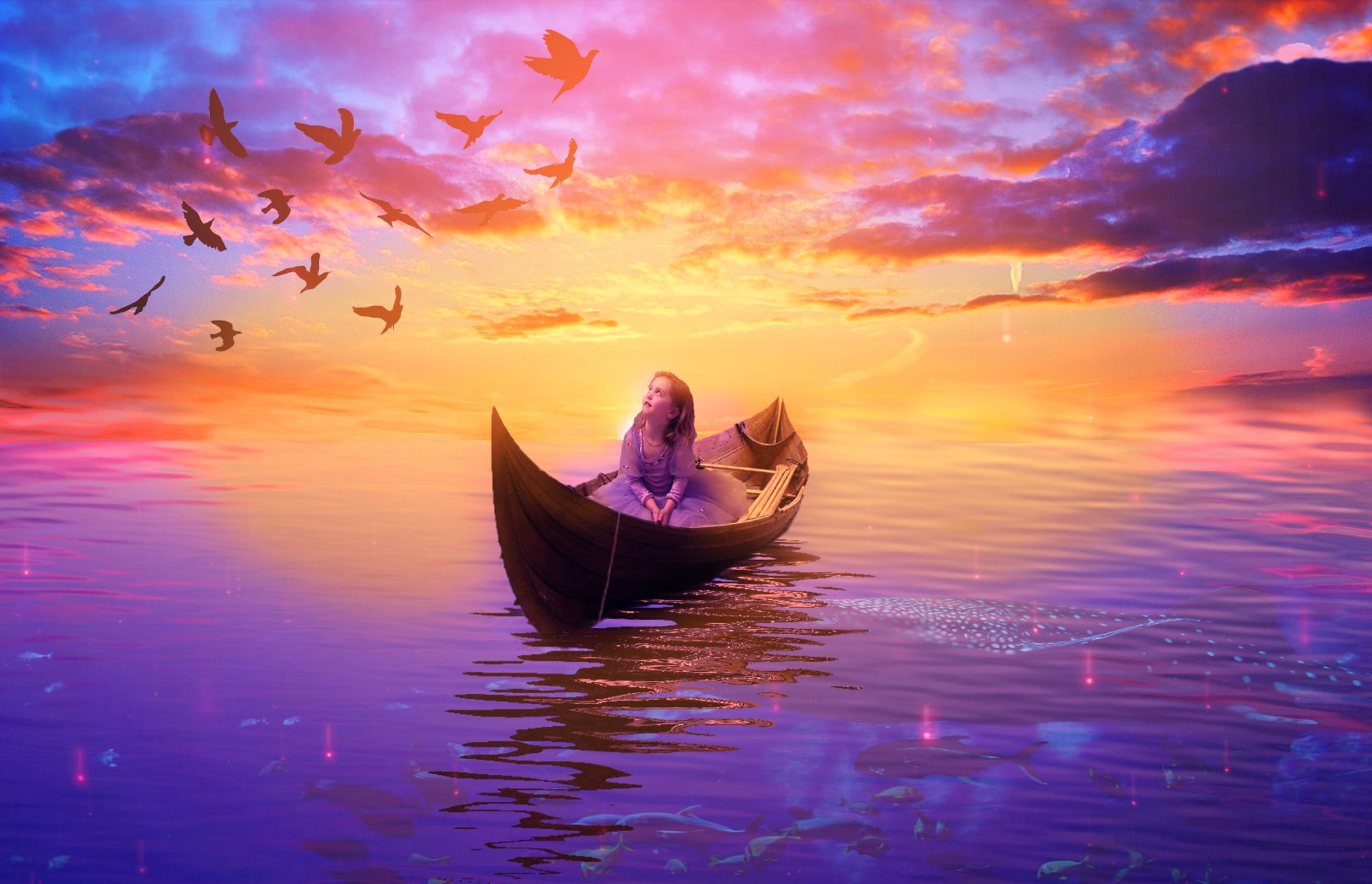eventide, digital, horizon, 1080P, boat, animal themes, reflection, transportation, finale, orange color, tranquility, nature, animal, beauty in nature, HD Wallpaper