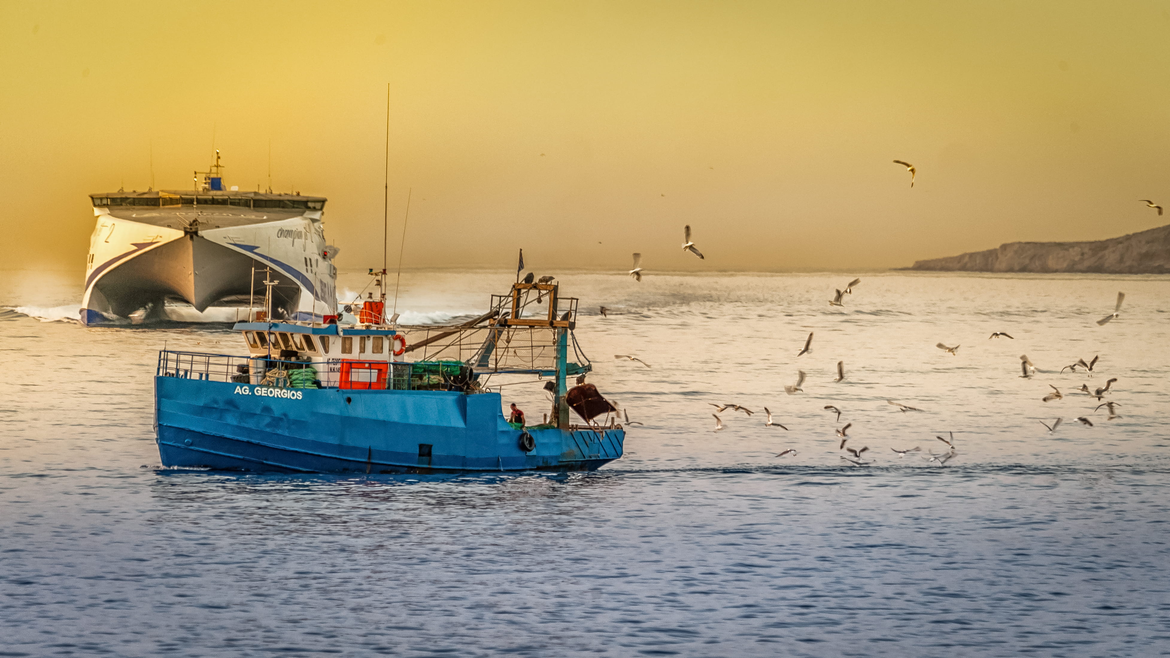 harbor, transportation, sailboat, birds, animal themes, bird, 4K, outdoors, trawler, nautical vessel, fisherman, watercrafts, architecture, flock of birds, HD Wallpaper