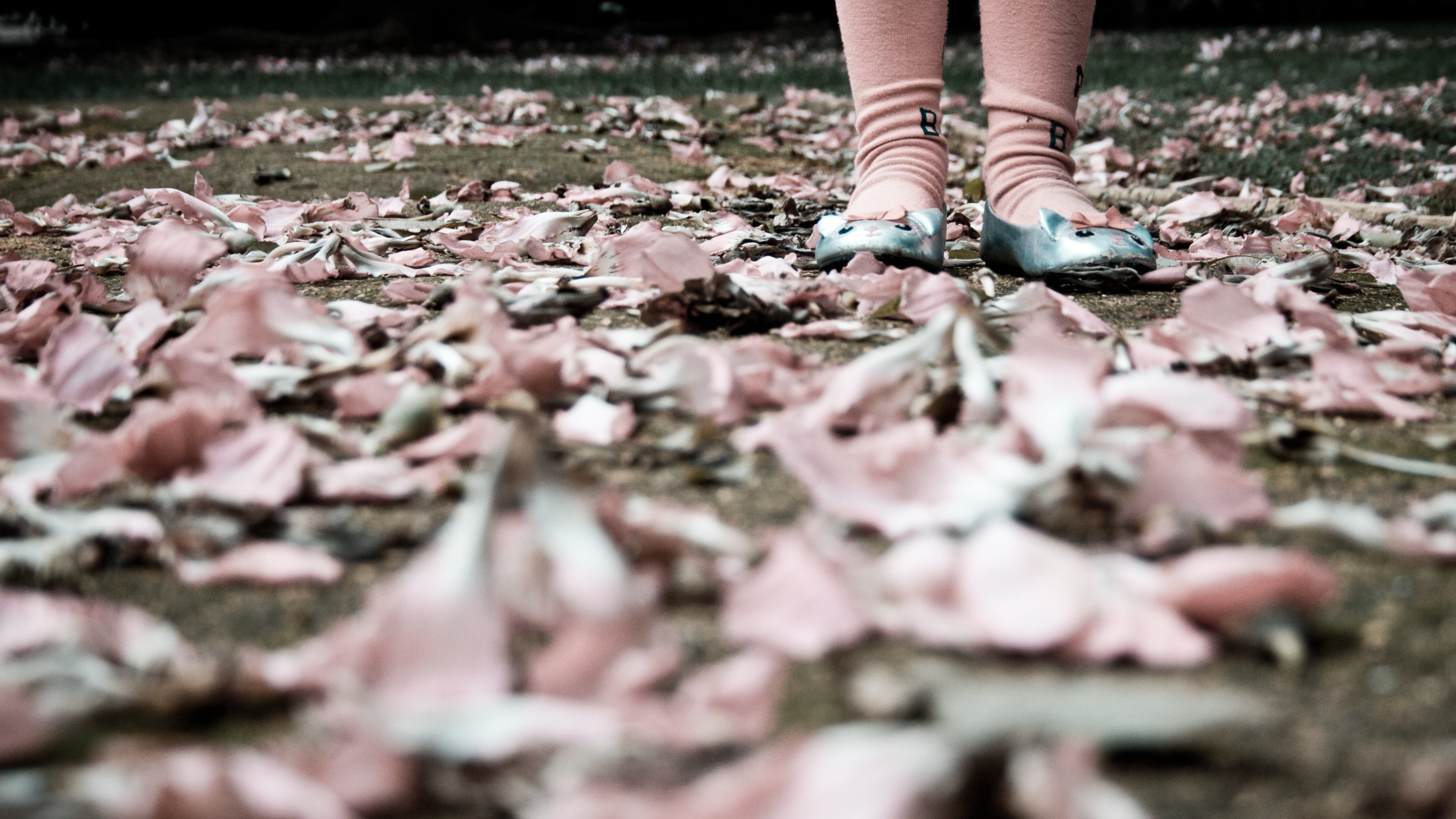 secas, symmetry, country, verano, medias, image, foto, goggles, people, del, piso, outdoors, potd, person, leather, women, photography, men, sync, calzado, HD Wallpaper