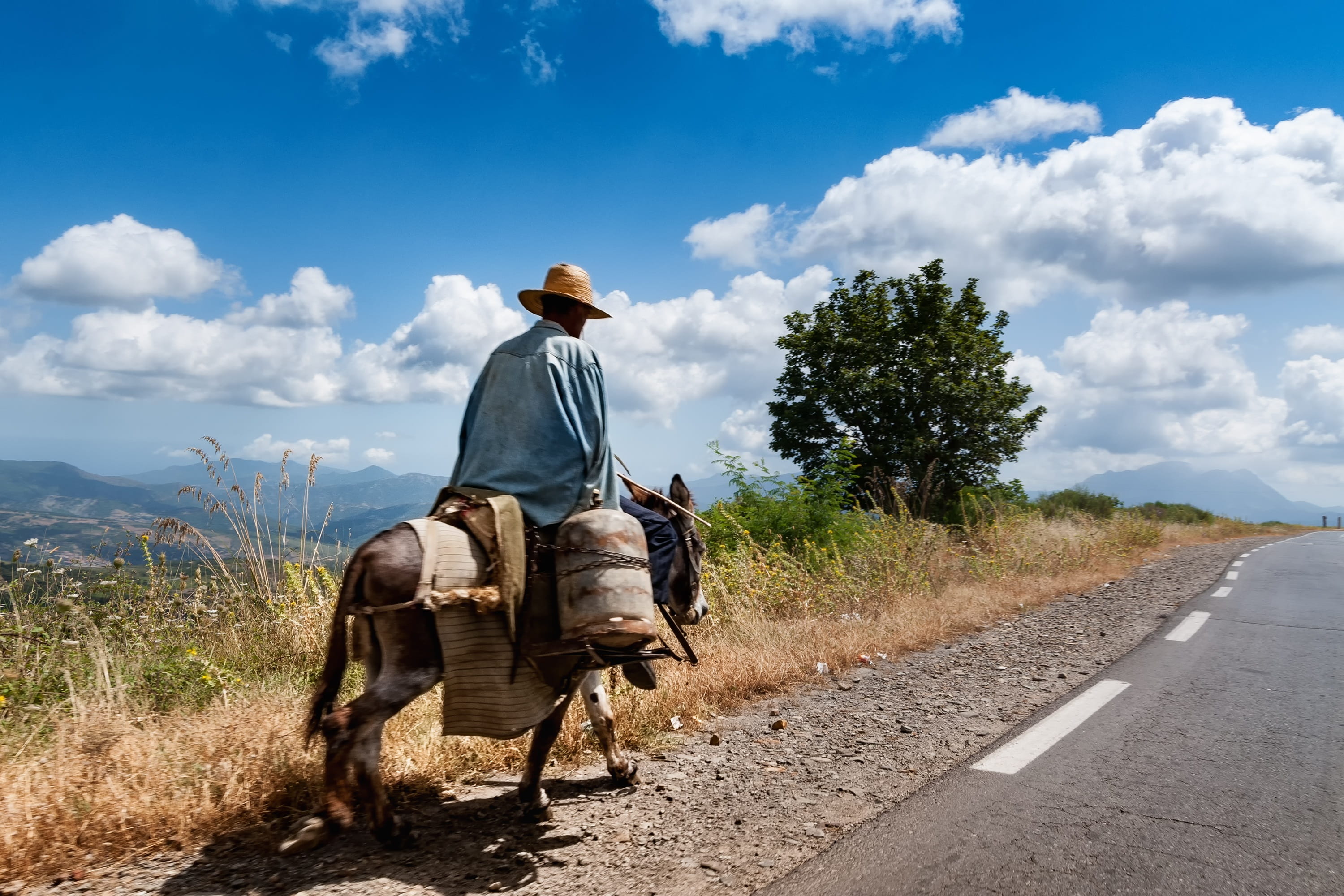 Mountains, transportation, herbivorous, kabiley, one person, domestic animals, mammal, full length, rear view, clouds, outdoors, horse, men, one man only, HD Wallpaper