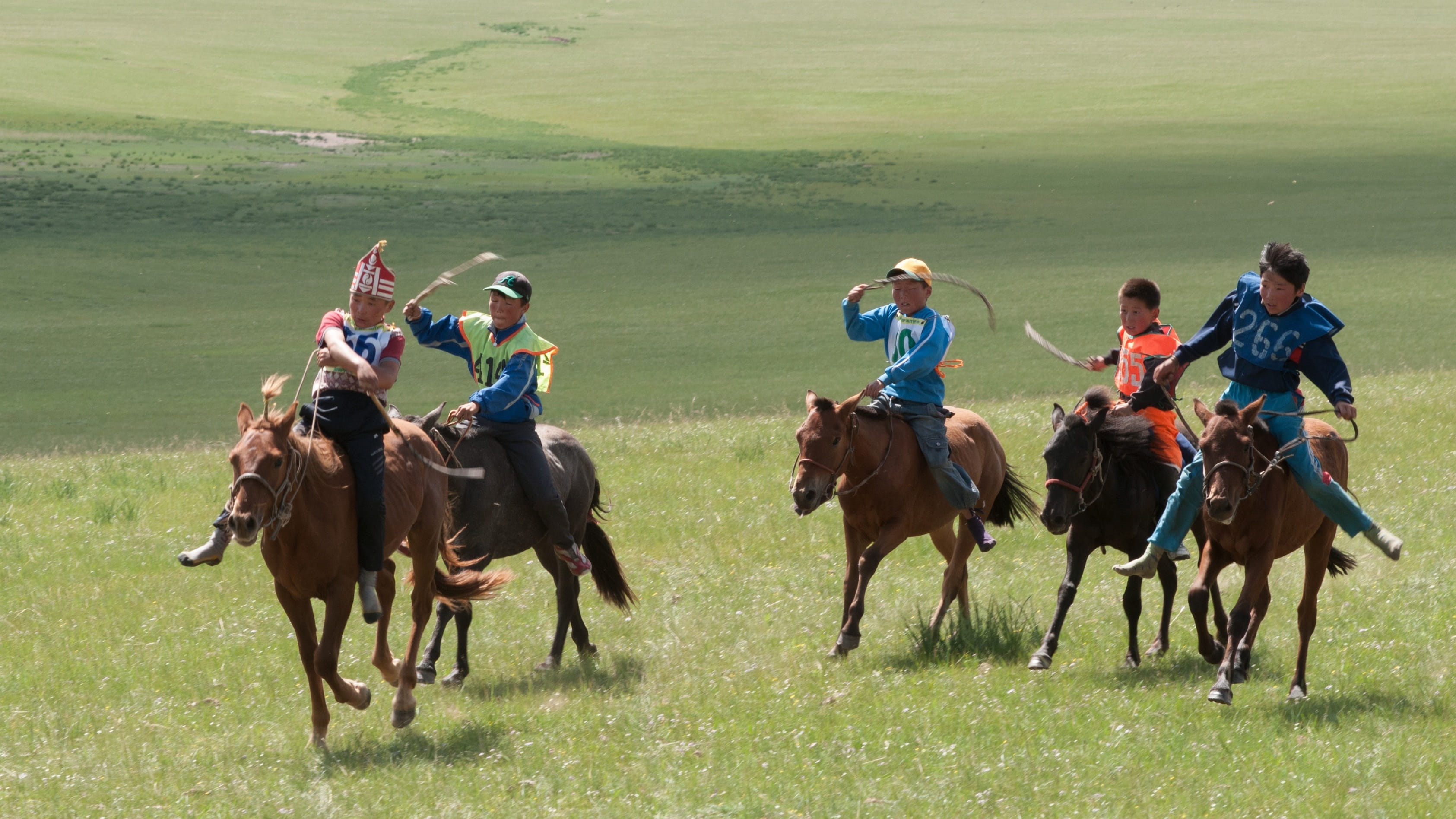 grass, horseback riding, activity, domestic animals, men, animal wildlife, mammal, Mongolia, riding, nature, Nadam, group of people, Ride, animal themes, HD Wallpaper
