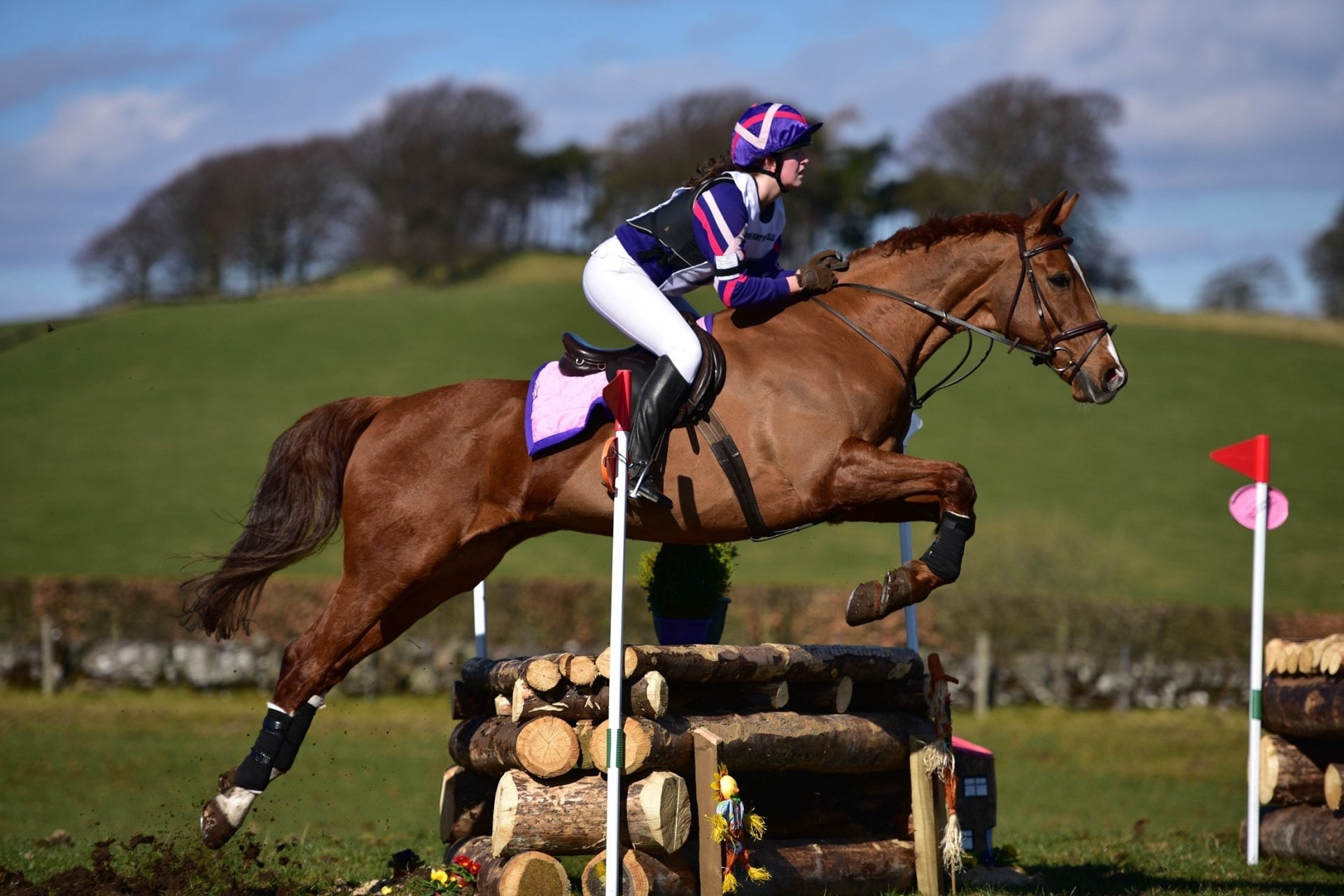 Woman, Show Jumping, 1080P, Sports, Animal, Equestrian, Horse, HD Wallpaper