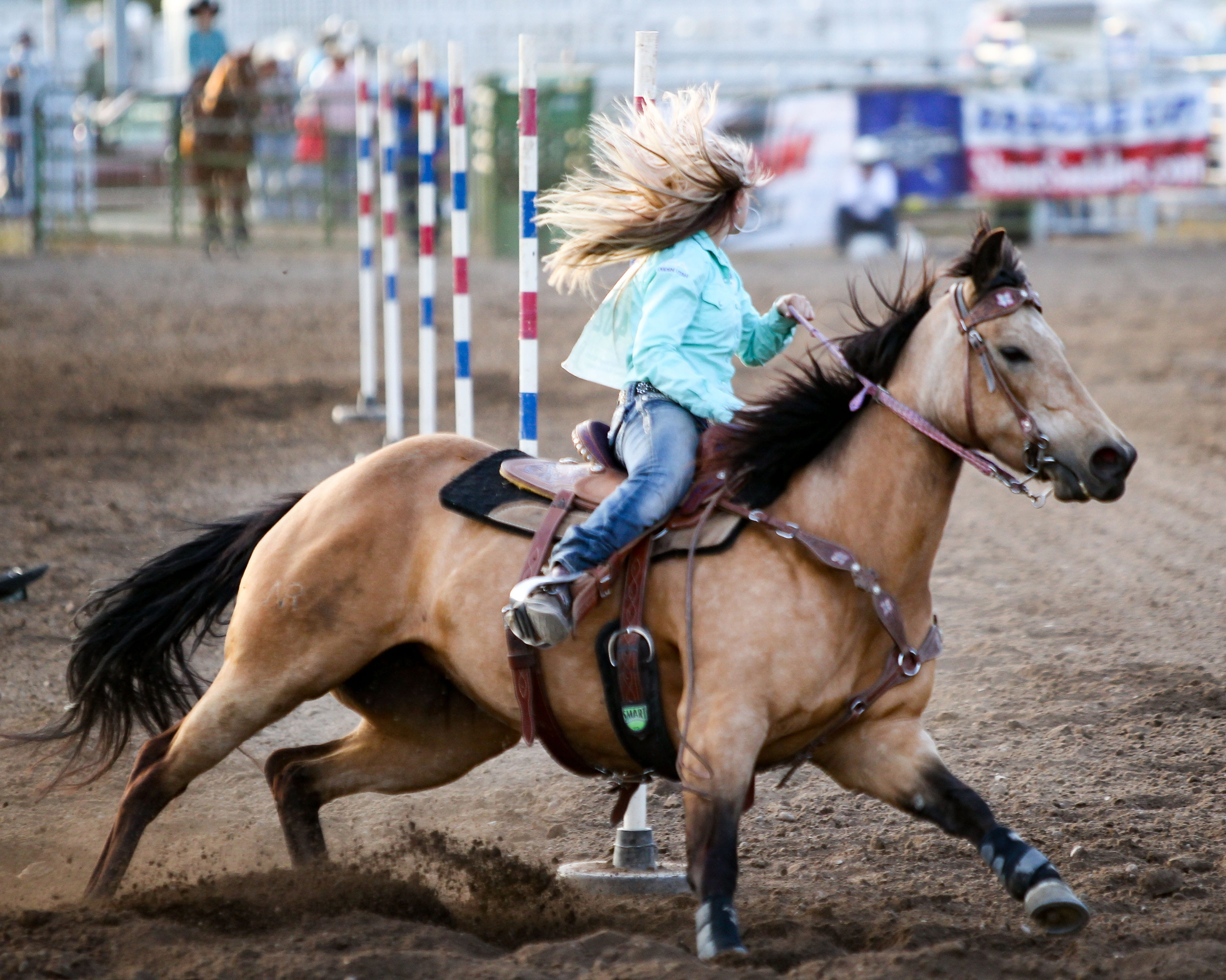 activity, livestock, woman, females, riding, vertebrate, speed, domestic animals, pets, mammal, western, 4K, one person, rodeo, co, horses, animal wildlife, HD Wallpaper