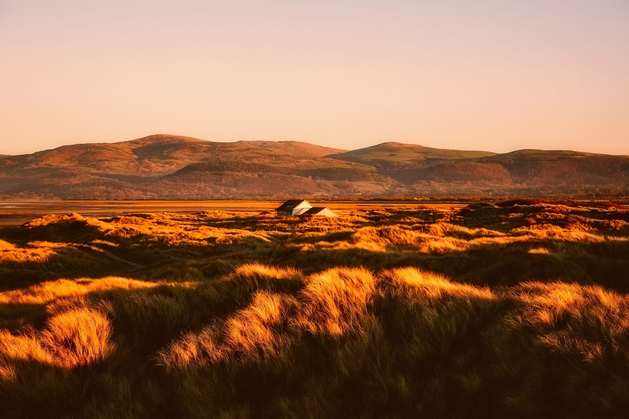dusk, grass, domestic animals, landscape, no People, summer, country, wales, animal themes, plant, environment, mountains, nature, beauty In Nature, england, HD Wallpaper