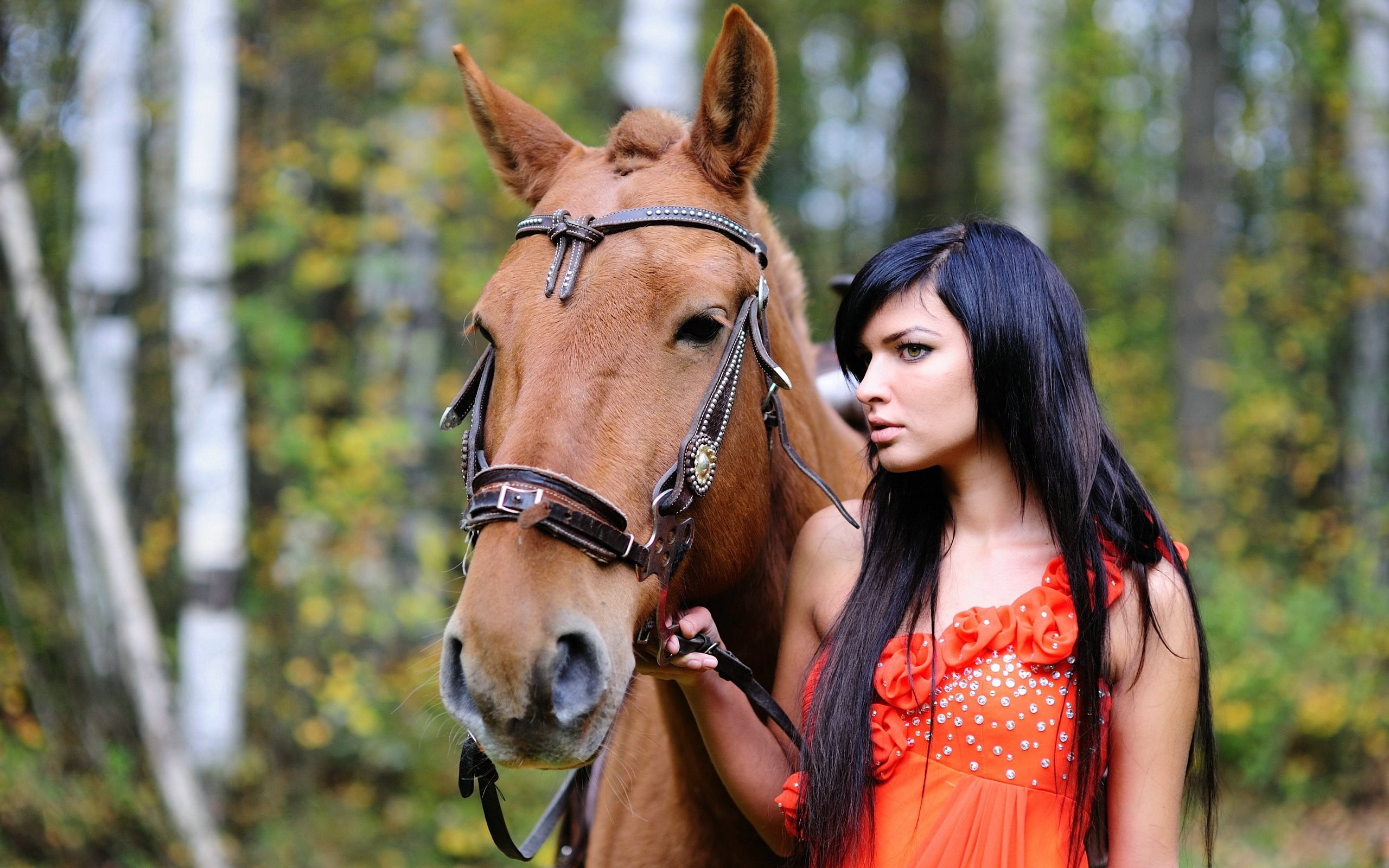 animal wildlife, brunette, horse, hairstyle, women, pets, one person, domestic, livestock, teenager, hair, young adult, riding, activity, horseback riding, HD Wallpaper