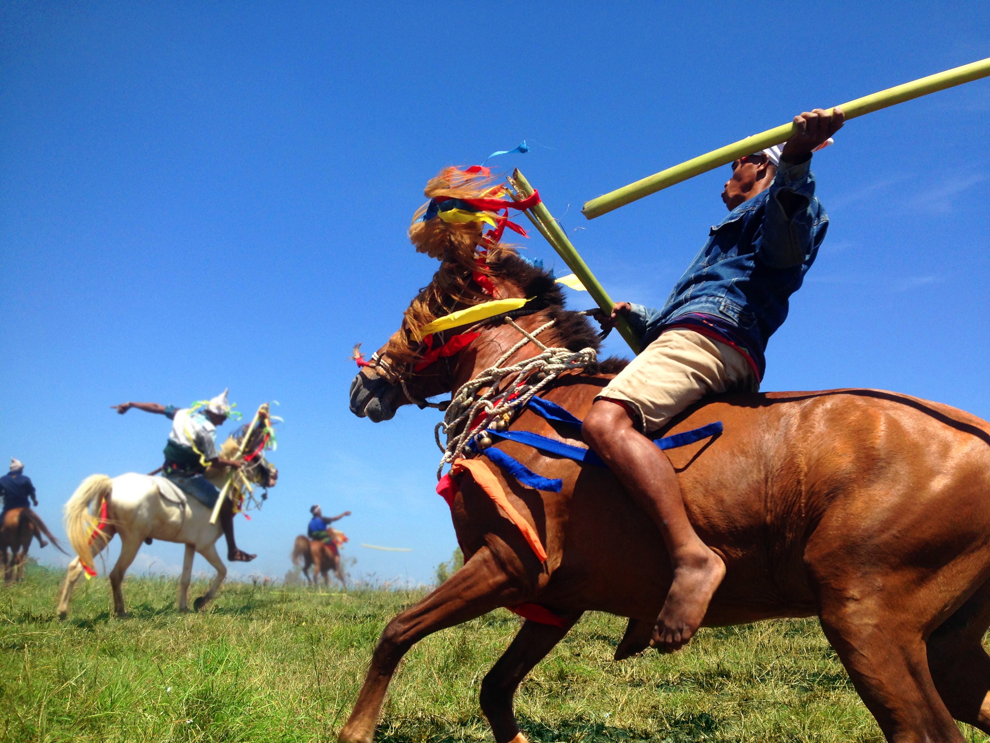 day, activity, group of animals, jelajah tanahumba, vertebrate, 2K, men, animal wildlife, horse, nature, lamboya, livestock, riding, pets, sumba, horseback riding, HD Wallpaper