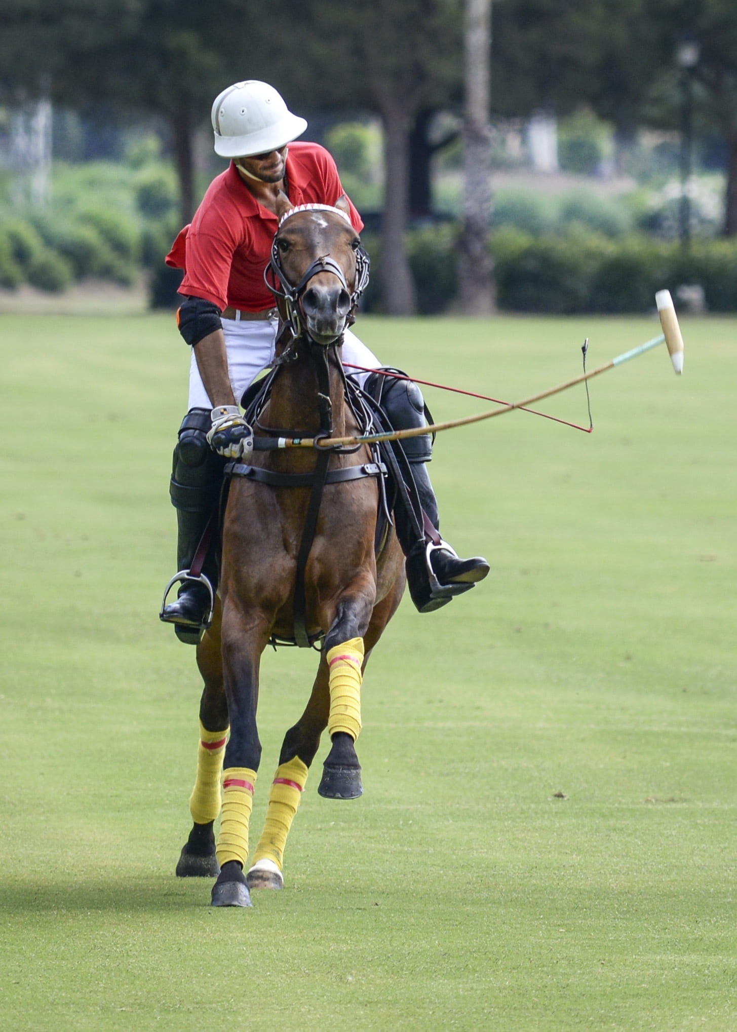 polo, player, ride, animal wildlife, polo club, herbivorous, full length, domestic animals, 1080P, animal themes, game, riding, brown, horseback riding, Phone HD Wallpaper