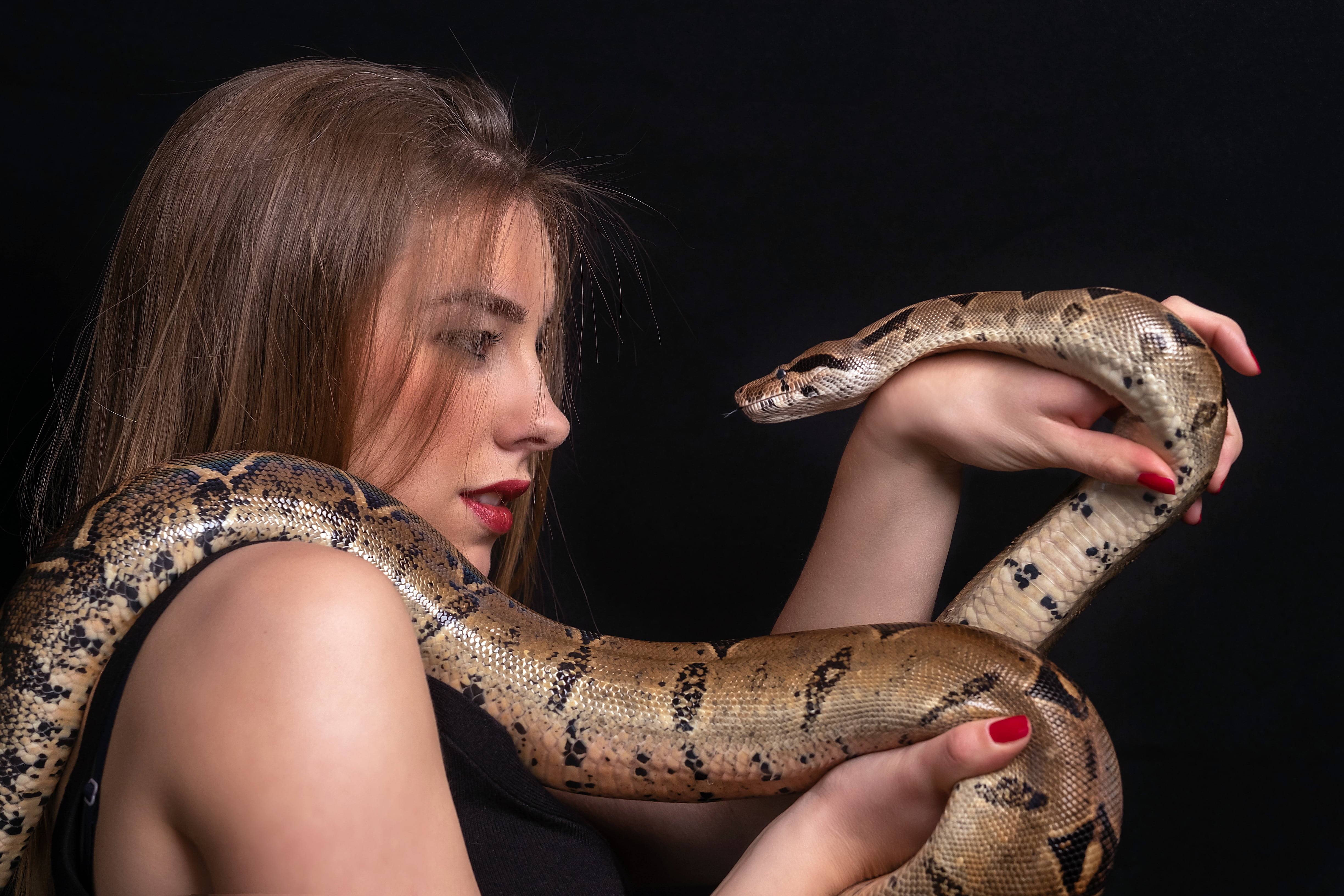 the situation, girl, snake, 4K, HD Wallpaper