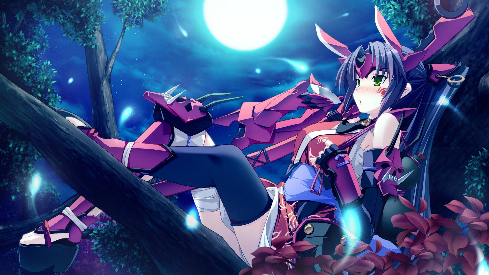 thigh, moon, visual, leaves, 1080P, green, long, eyes, gauntlets, swords, soleil, blush, kouyoku, video, game, sake, novels, drinking, hair, skyfish, skyscapes, HD Wallpaper